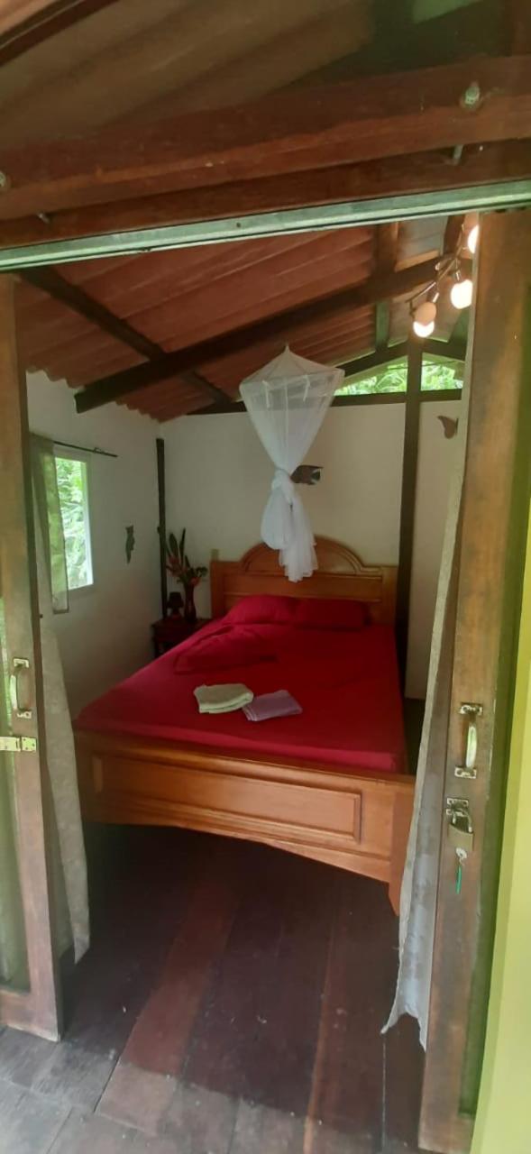 Double Room with Private Bathroom photo 1