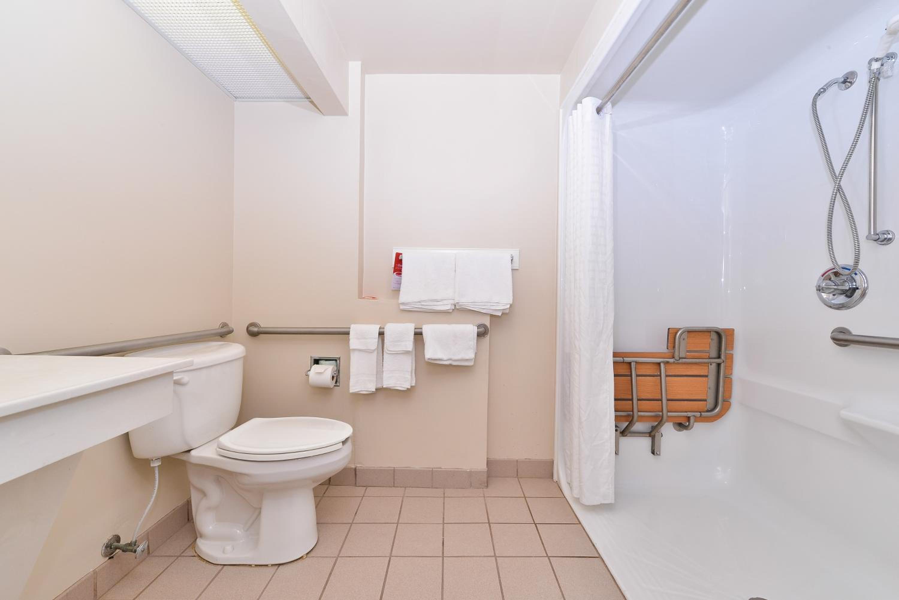 King Room with Roll-In Shower - Accessible/Non-Smoking - Photo 2