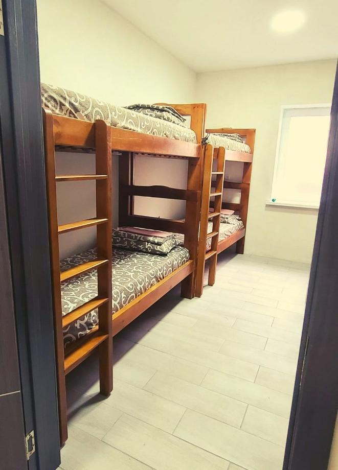 Single Bed in Dormitory Room photo 1