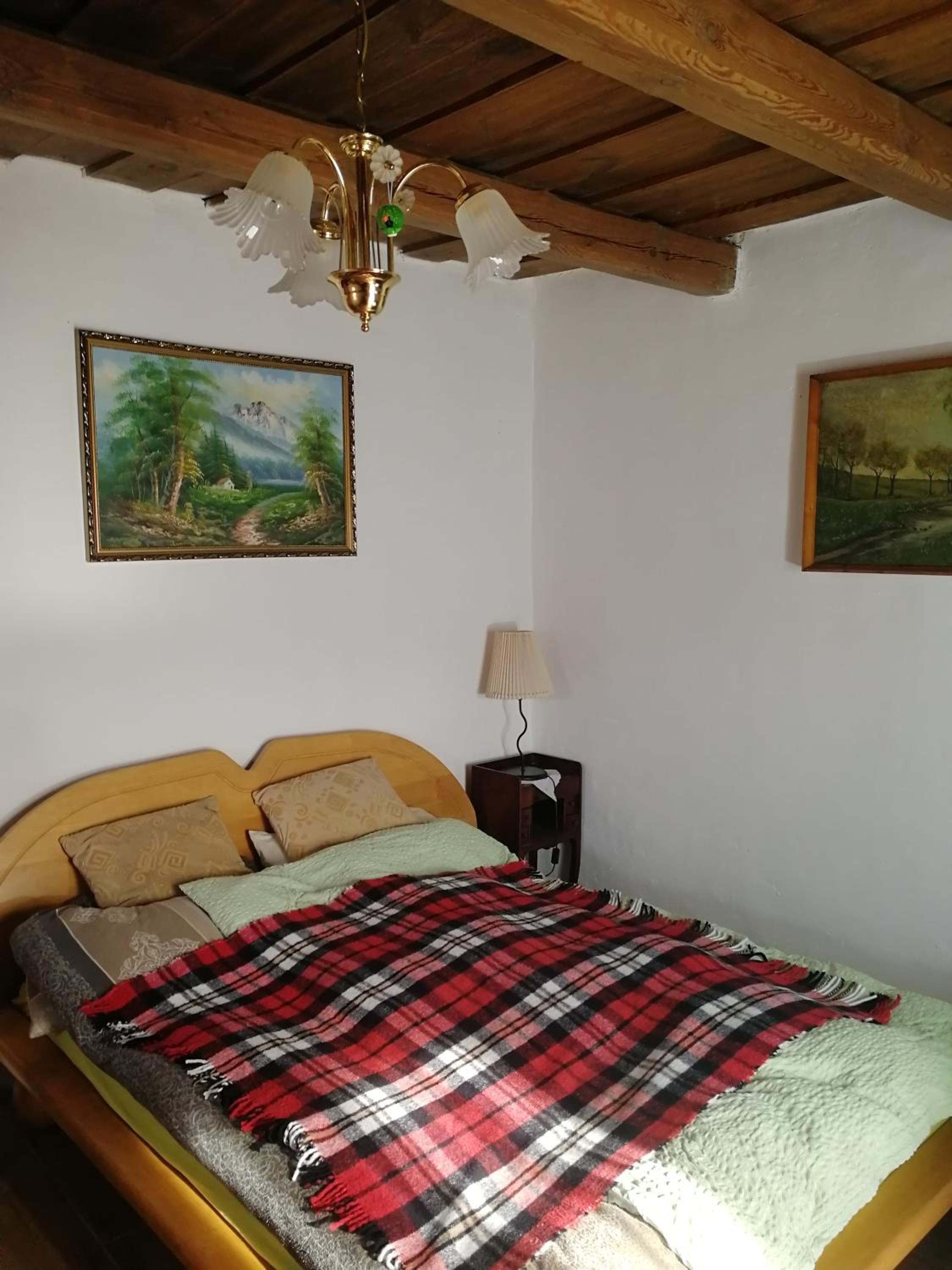 One-Bedroom House photo 1