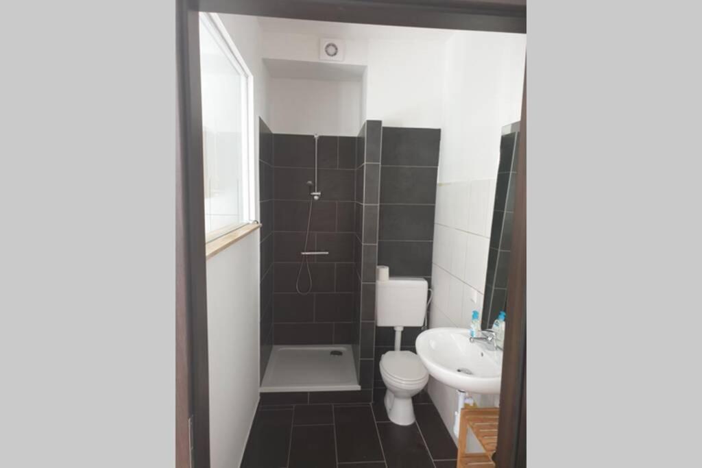 Apartment - Photo 13