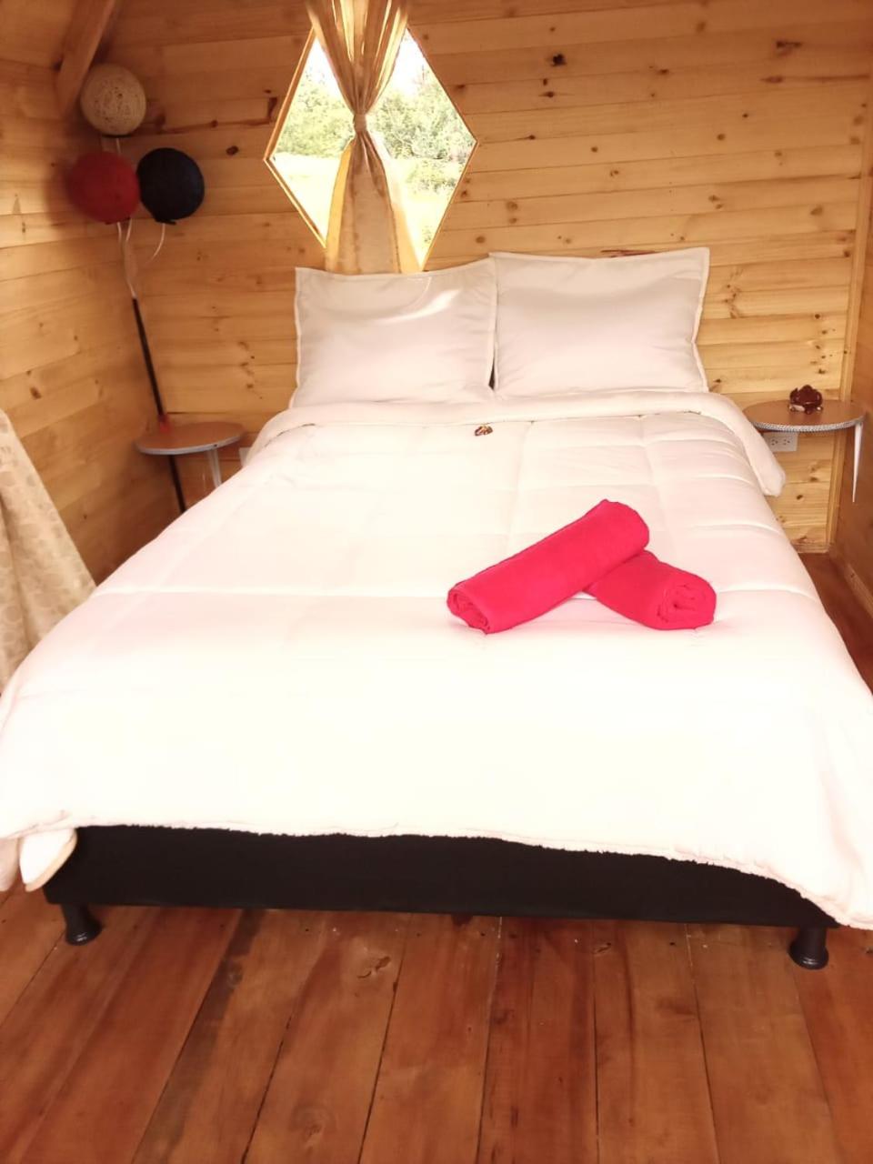 One-Bedroom Cottage photo 3