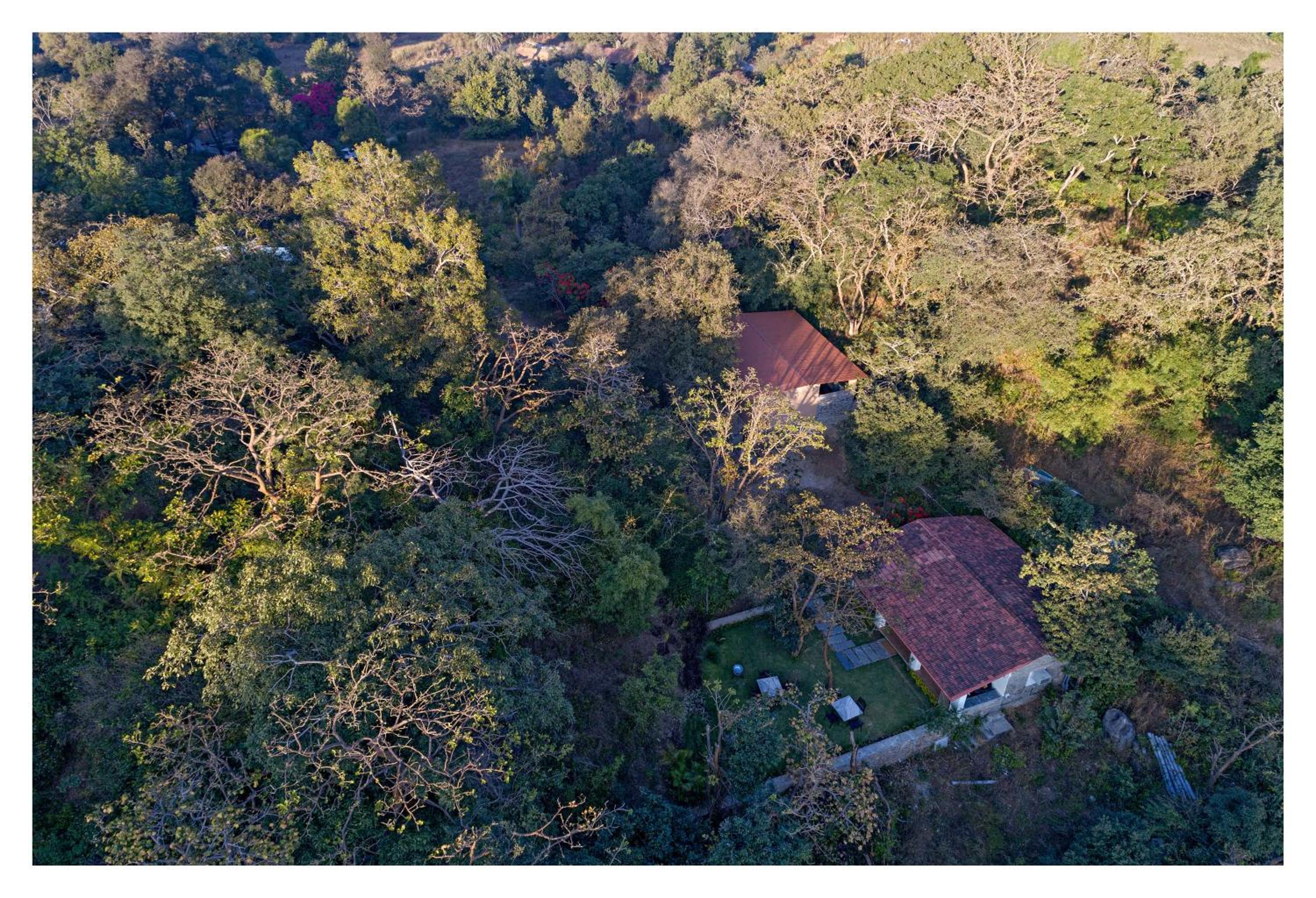 Cottage with Jungle View - Photo 11