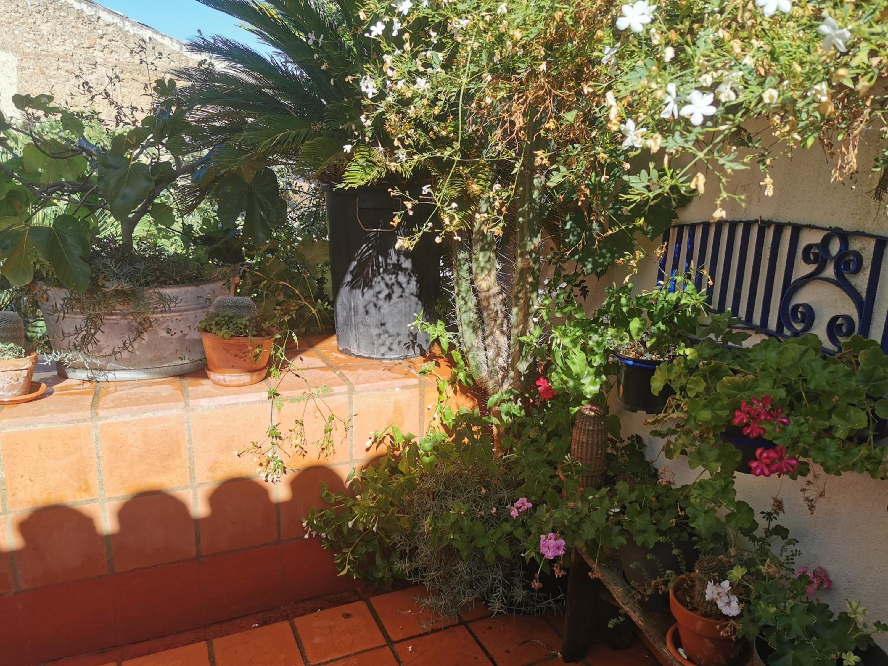 Double Room with Terrace - Photo 16