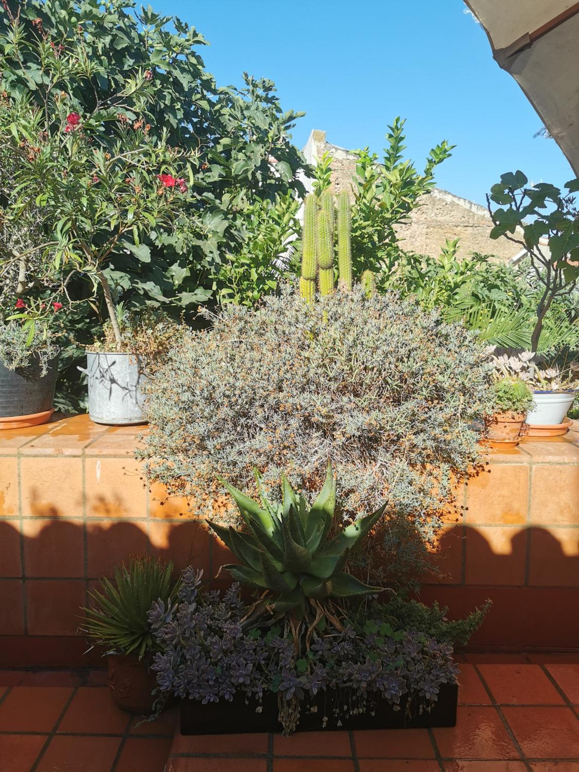 Double Room with Terrace - Photo 17