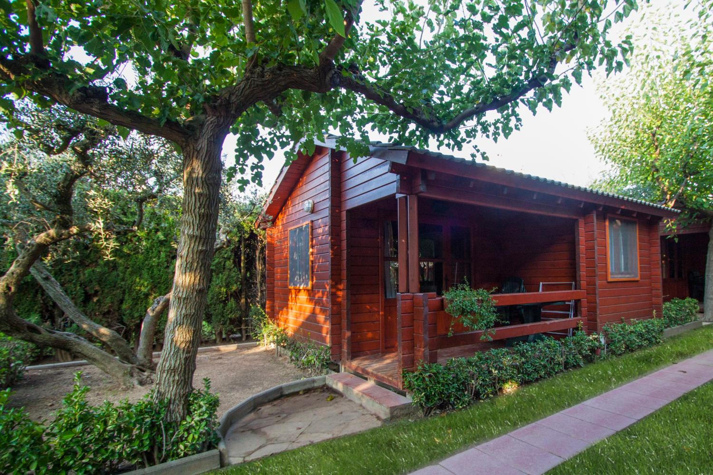 One-Bedroom Bungalow photo 3