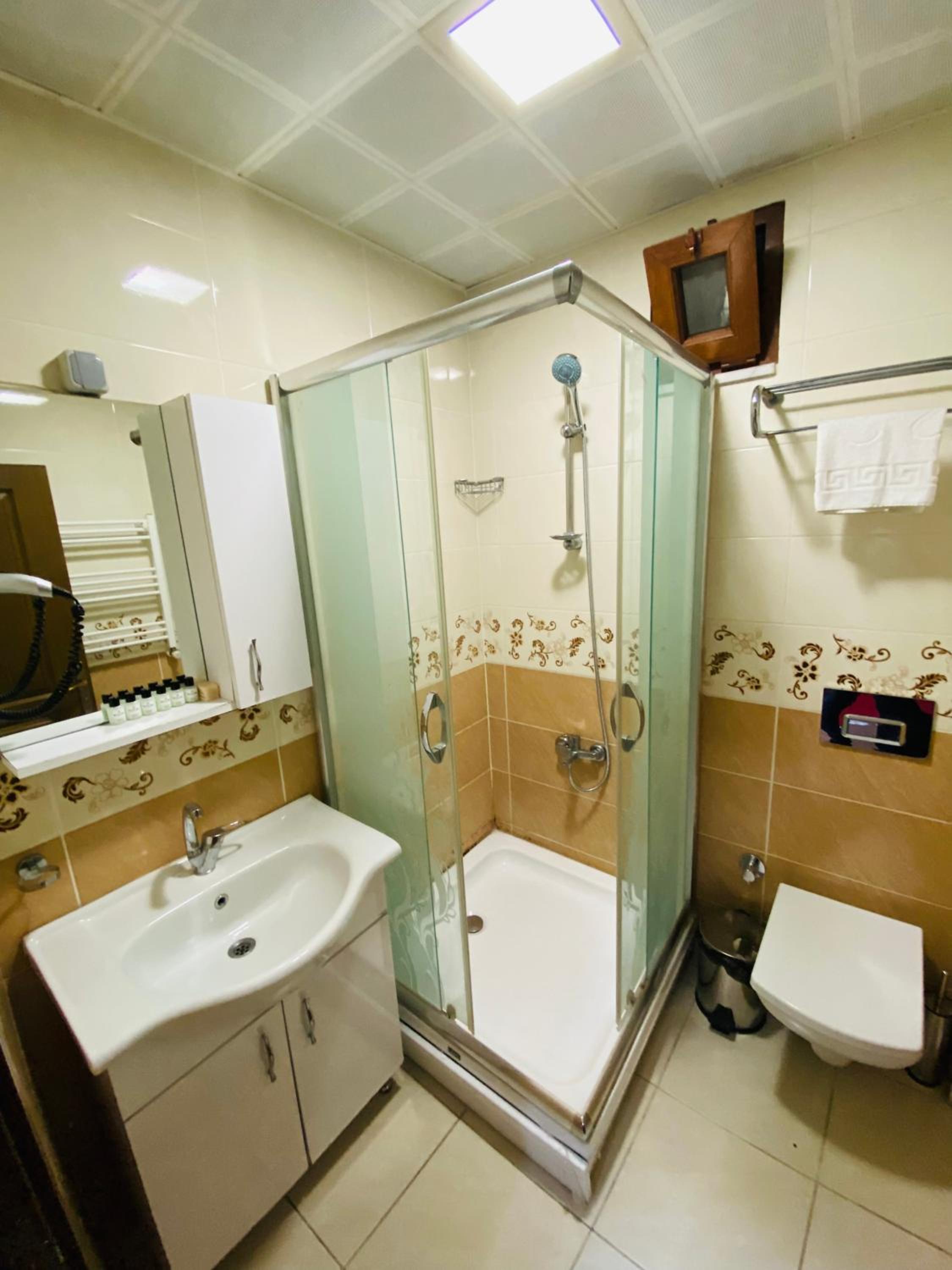 Large Single Room photo 2