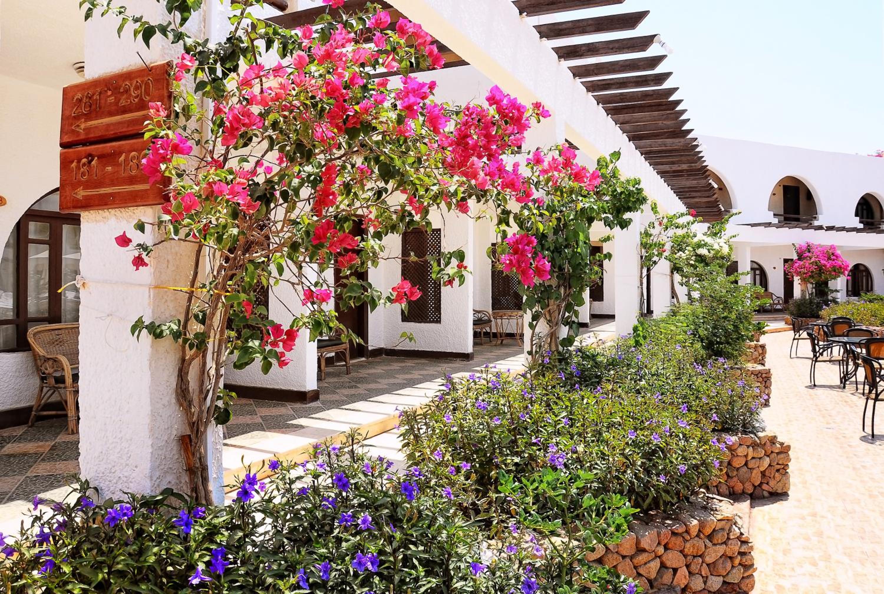 Double Room with Garden View