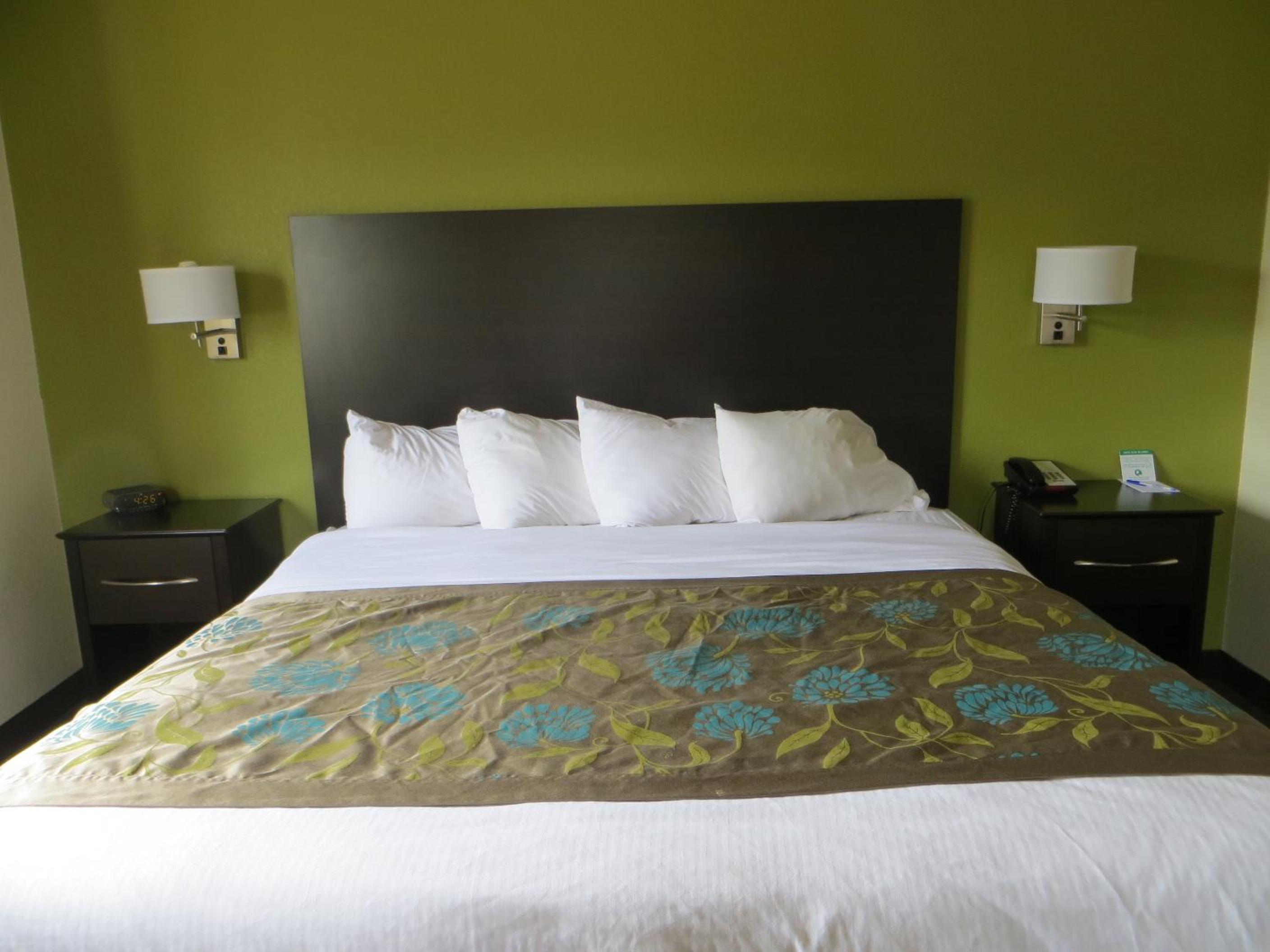 King Room - Non-Smoking - Photo 5