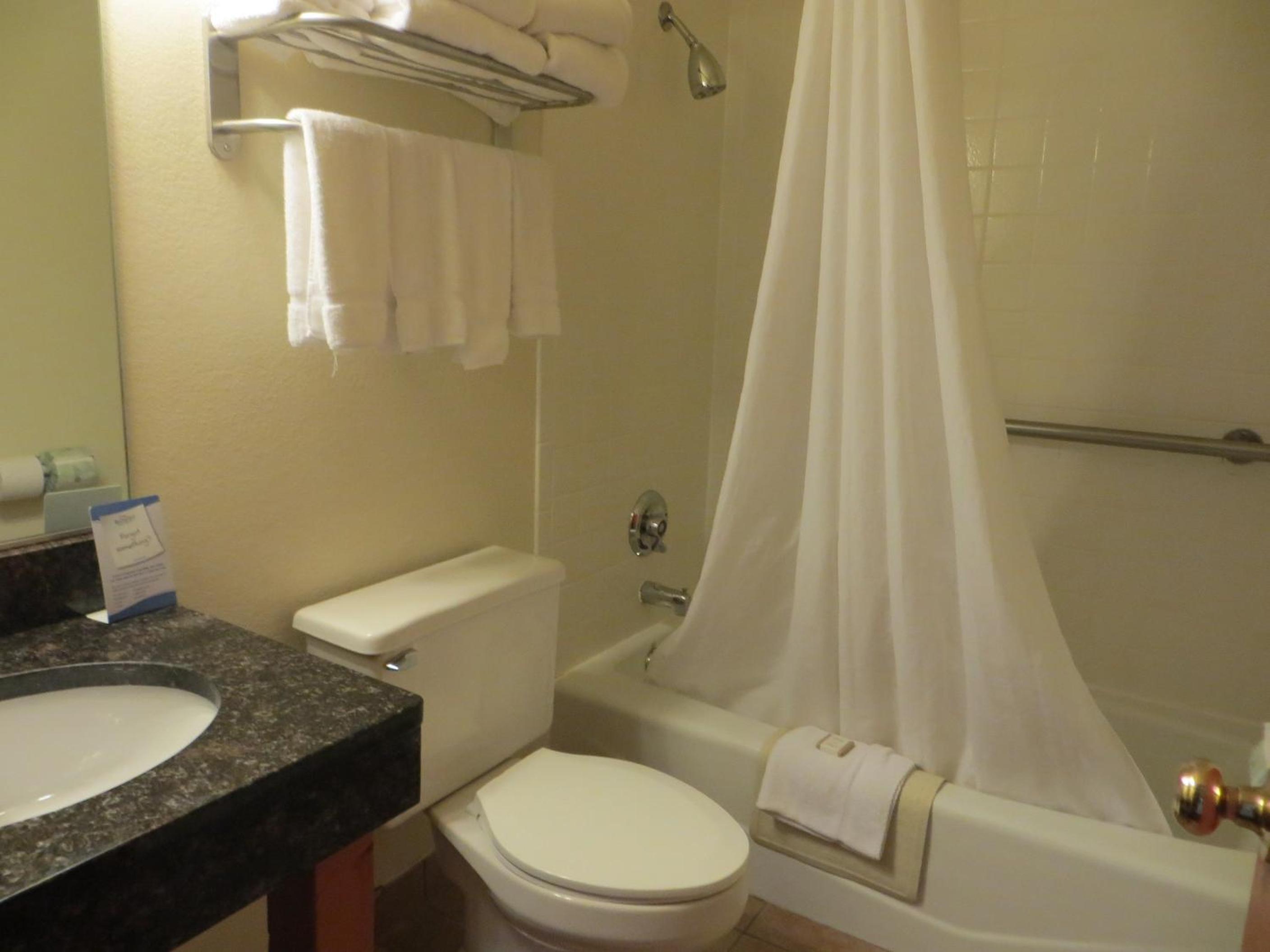 Deluxe King Suite - Non-Smoking - Photo 7