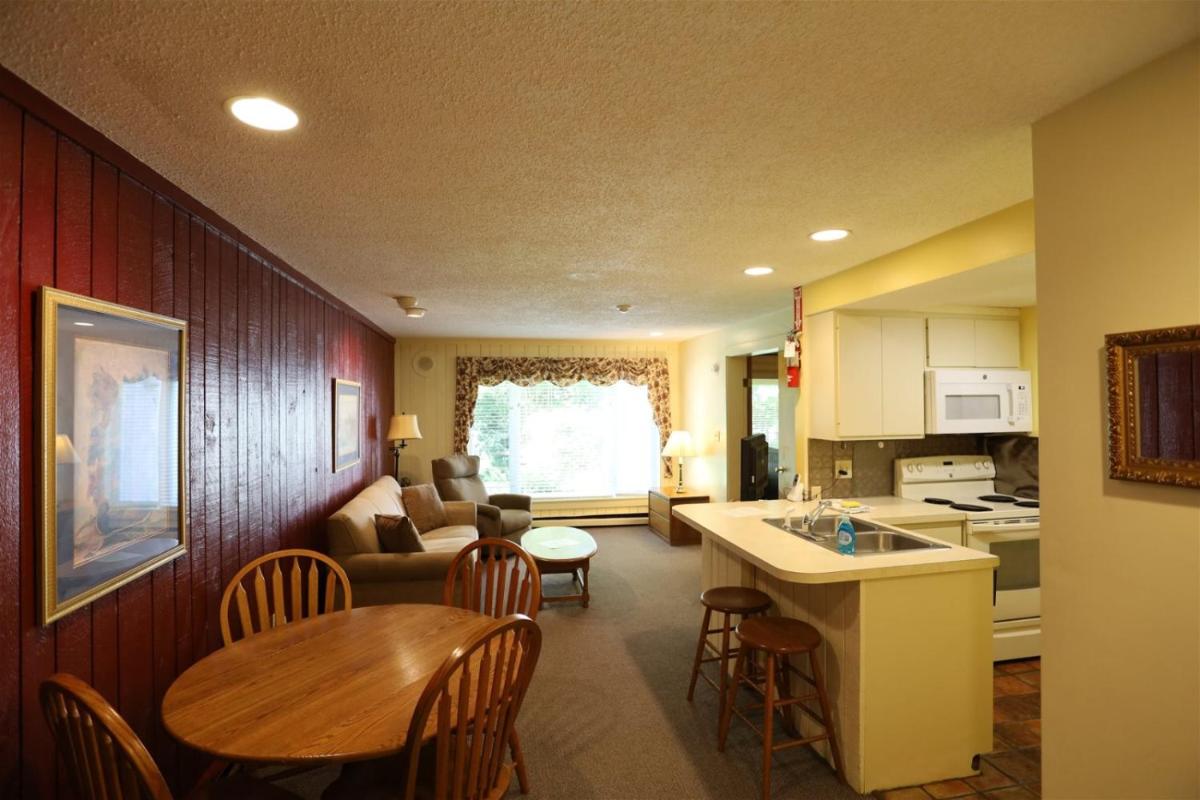 One-Bedroom Condo photo 1