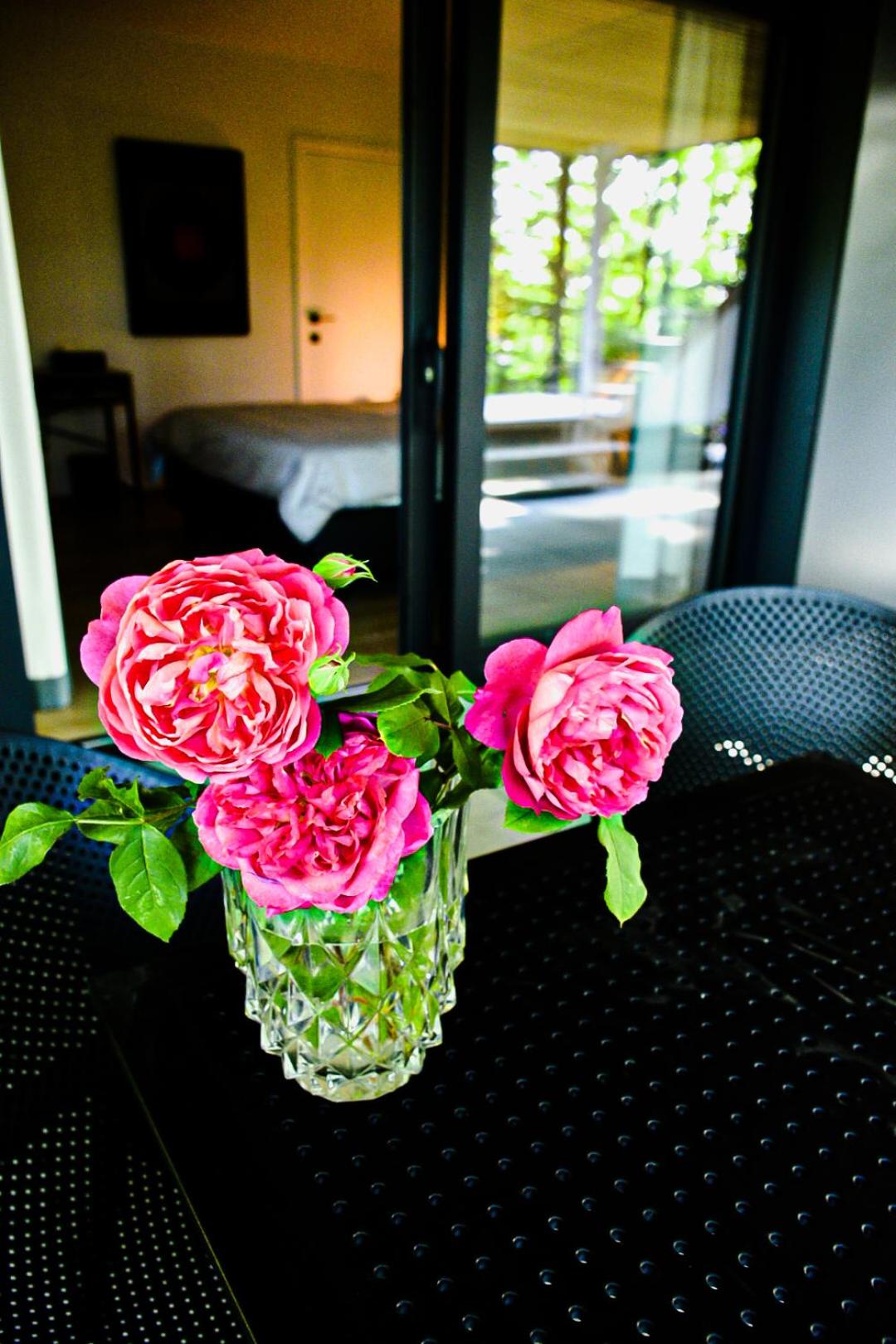 Suite with Garden View photo 1