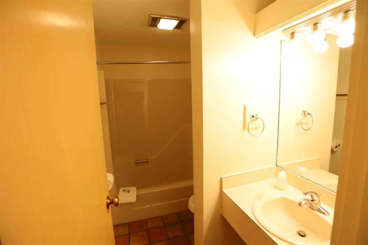 One-Bedroom Condo photo 2