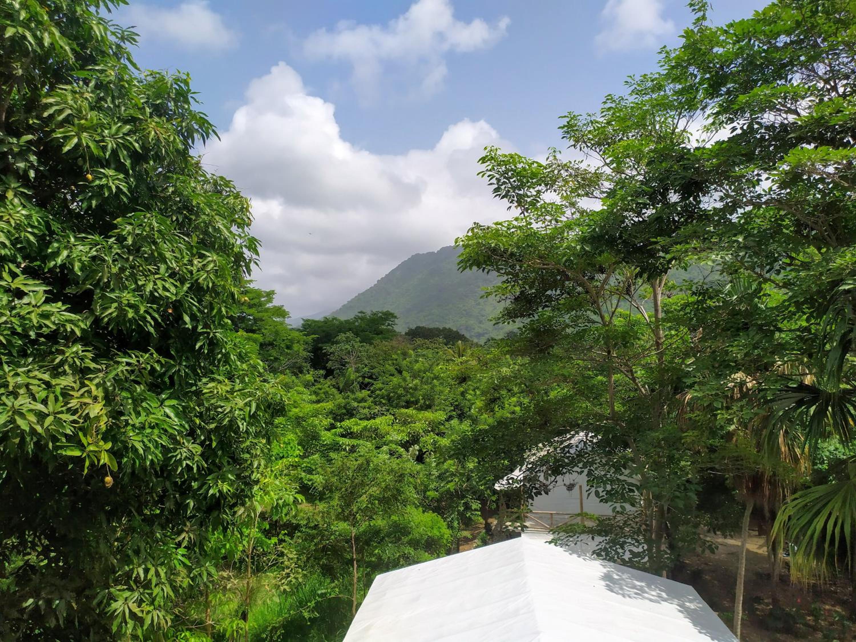 Triple Room with Terrace photo 2