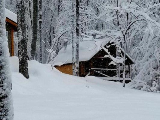 Chalet photo 3