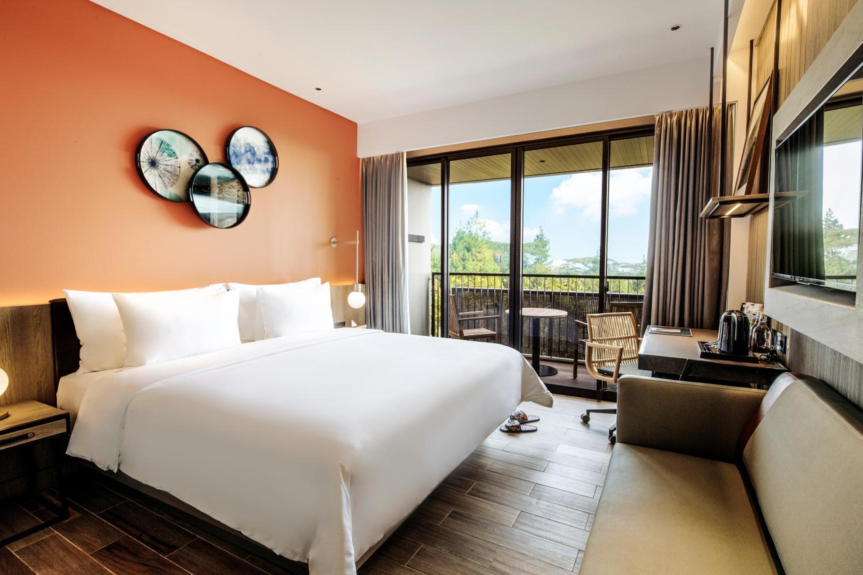Deluxe Room - Photo 1