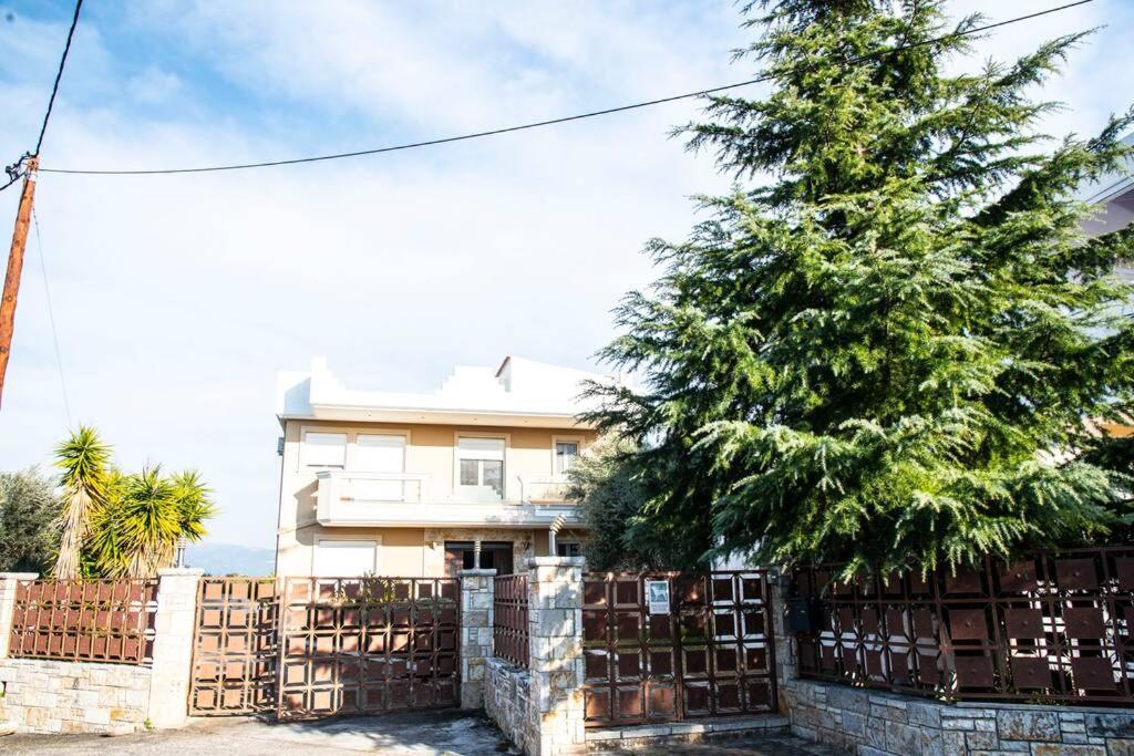 Villa photo 3