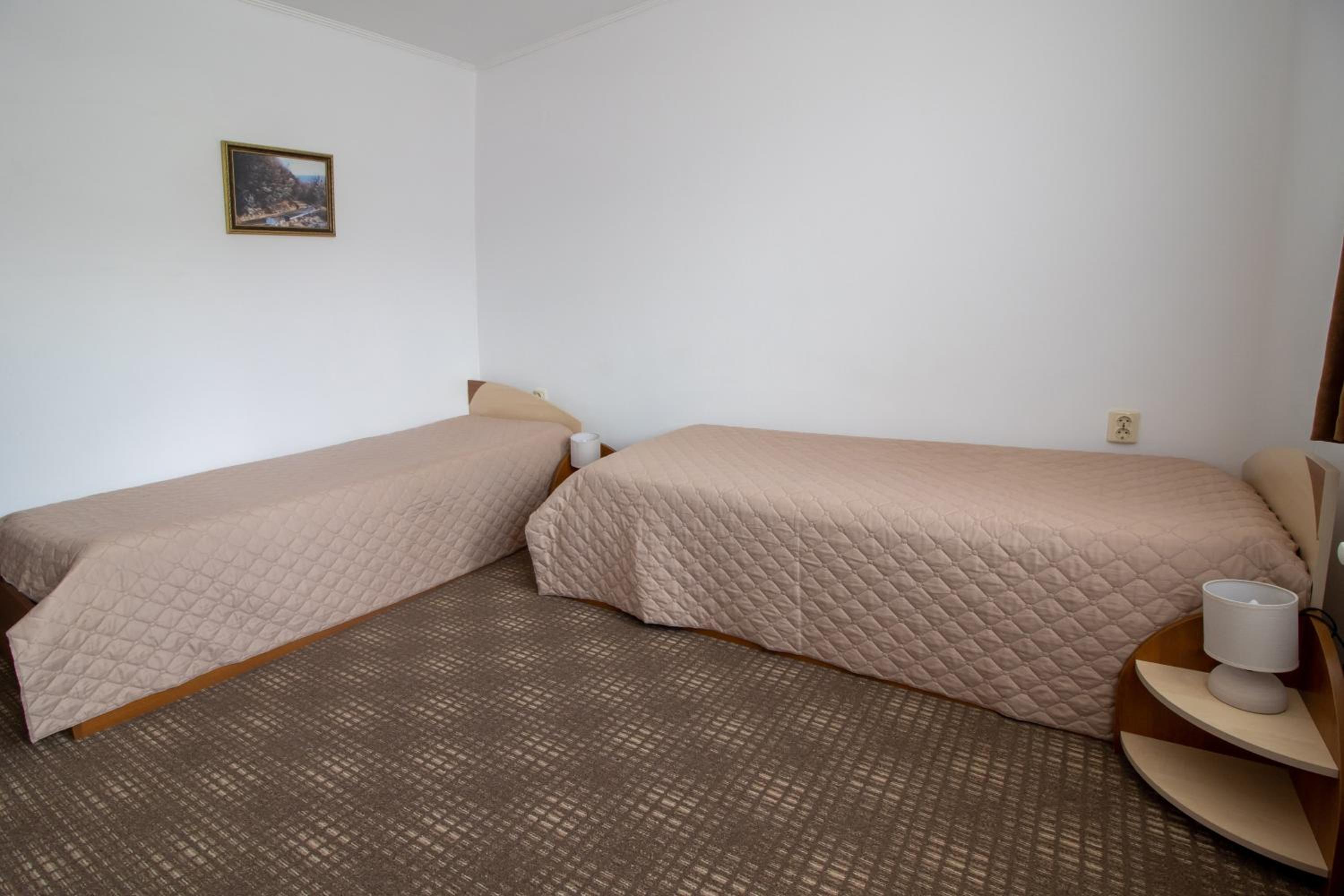 Double or Twin Room photo 3