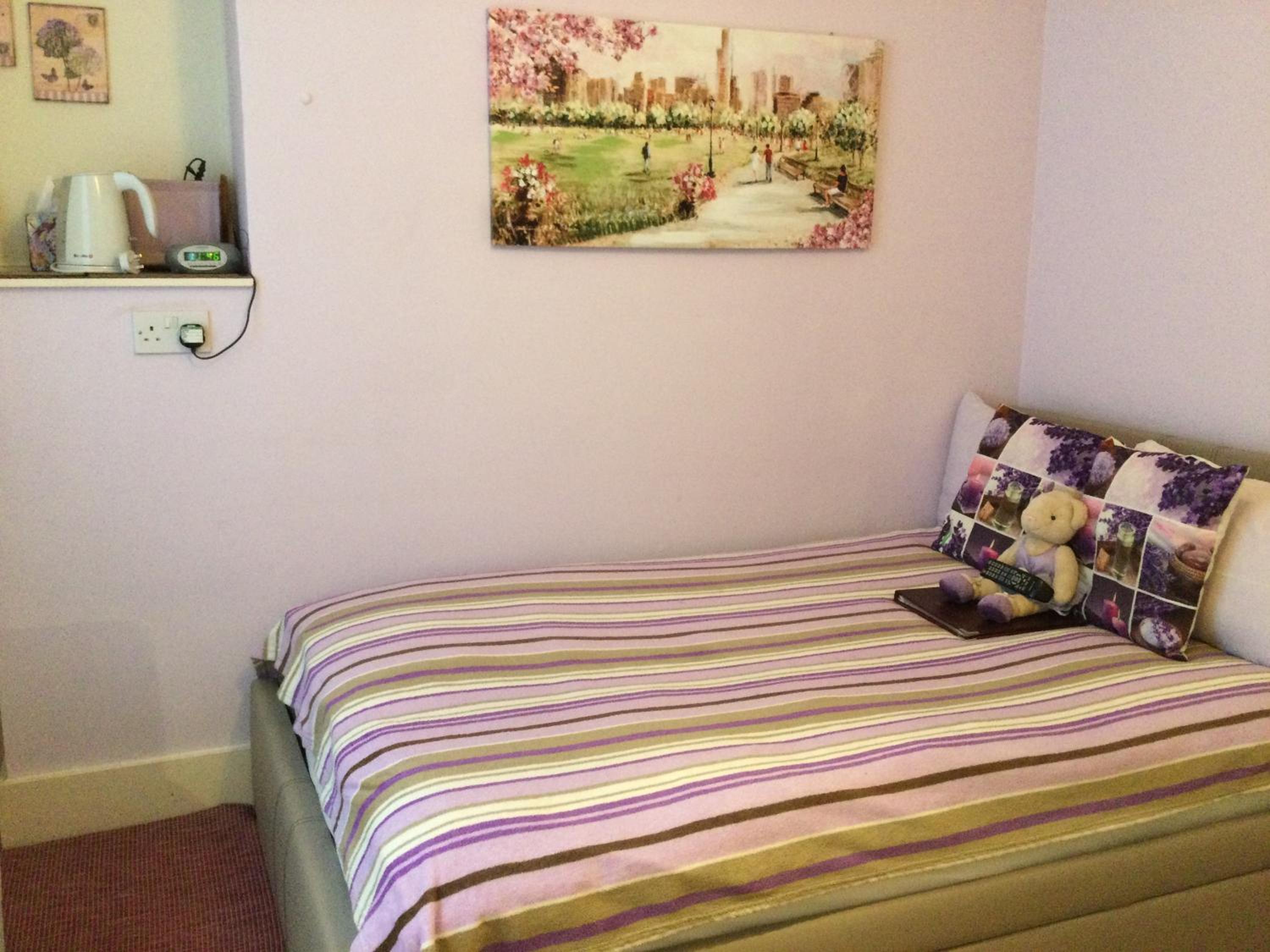 Single Room photo 2