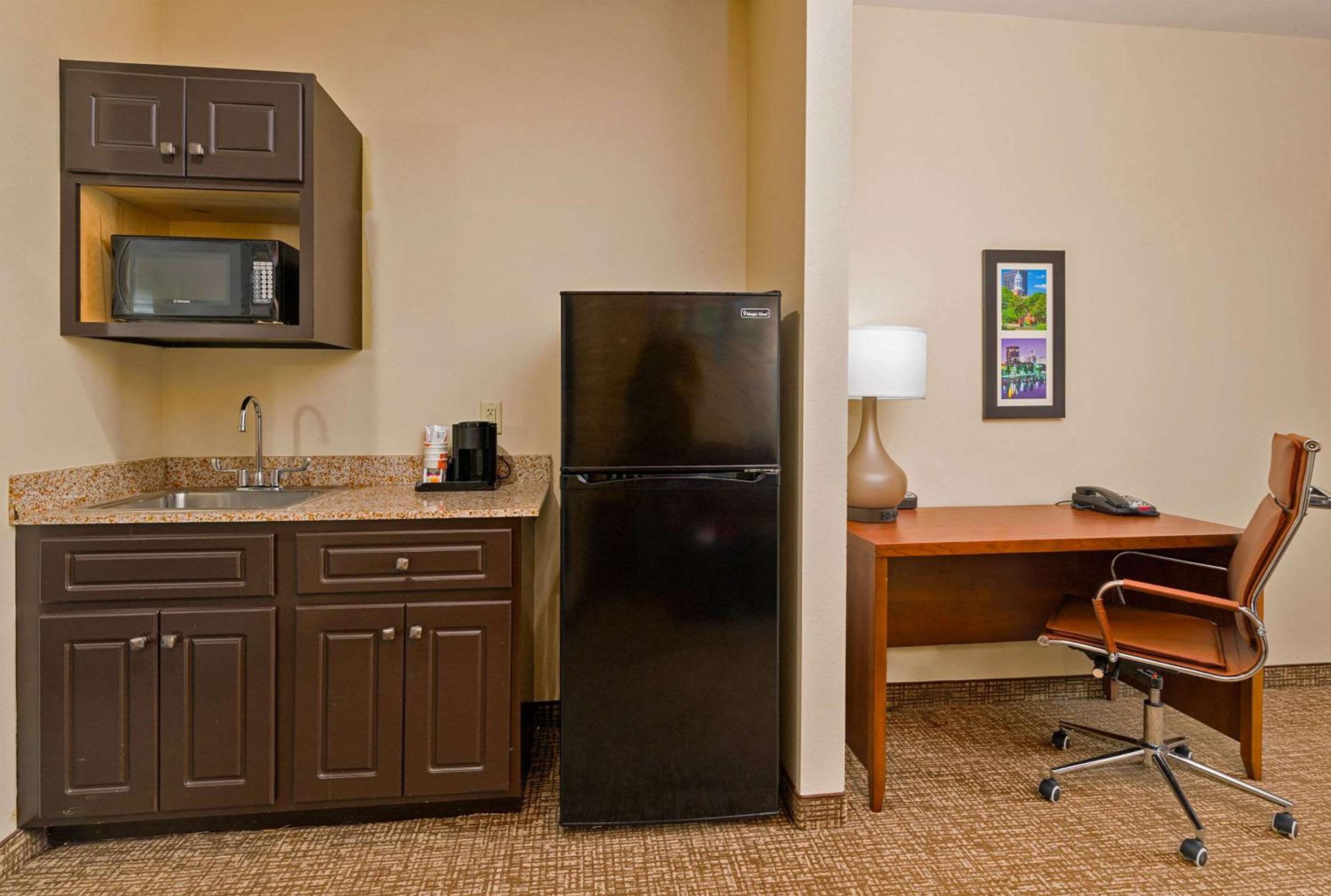 Efficiency King Suite - Accessible/Non Smoking - Photo 8