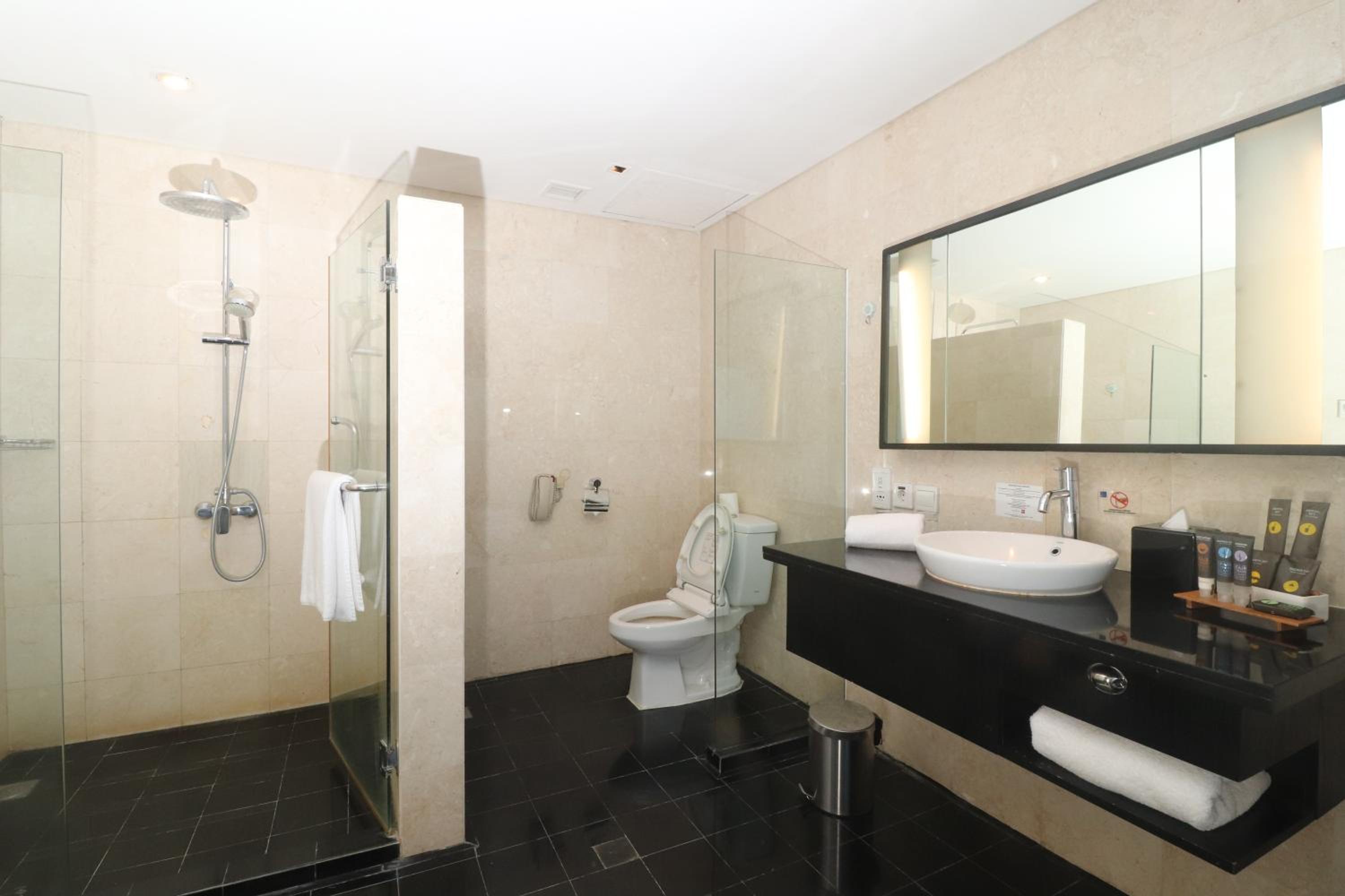 Business King Suite - Photo 10