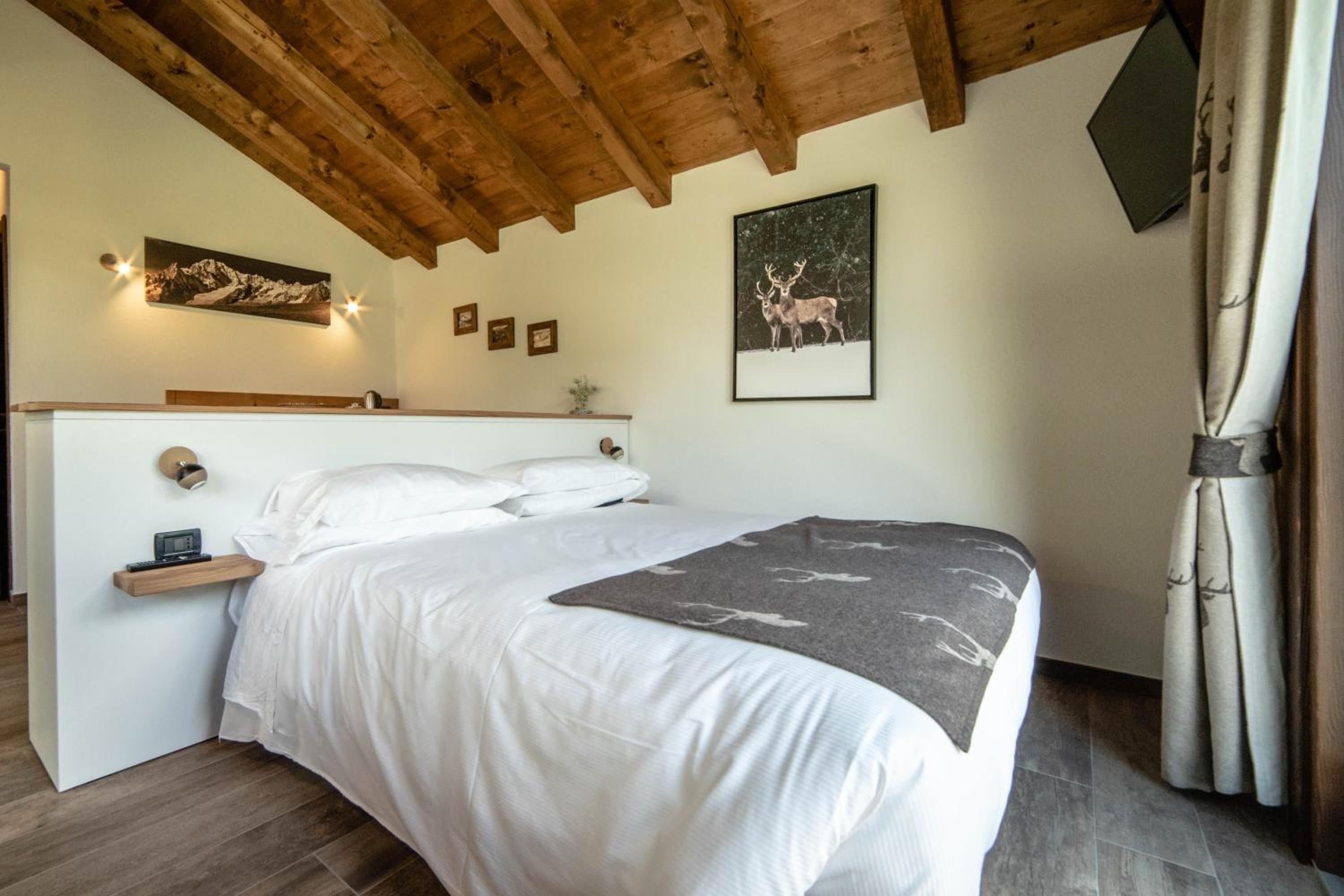 Suite - Photo 1