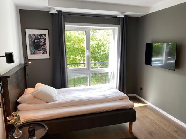 Deluxe Queen Studio