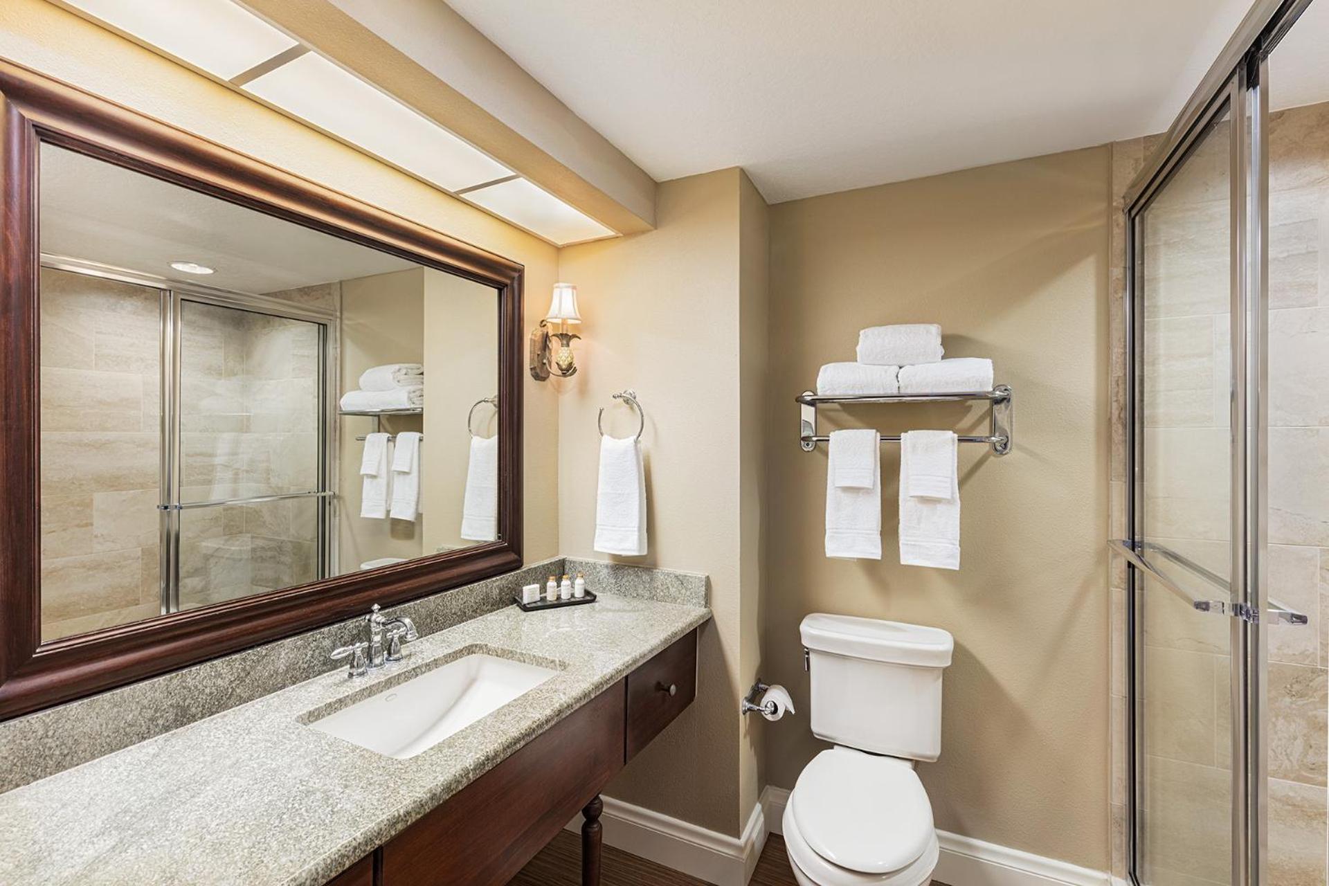 King Room with Lake View - Photo 2