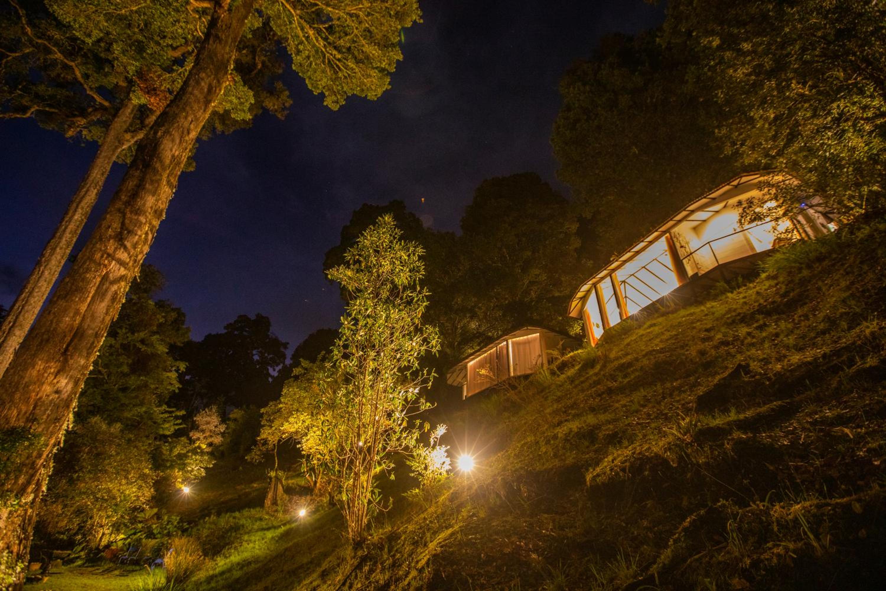 2 Person Superior Bungalow  photo 2