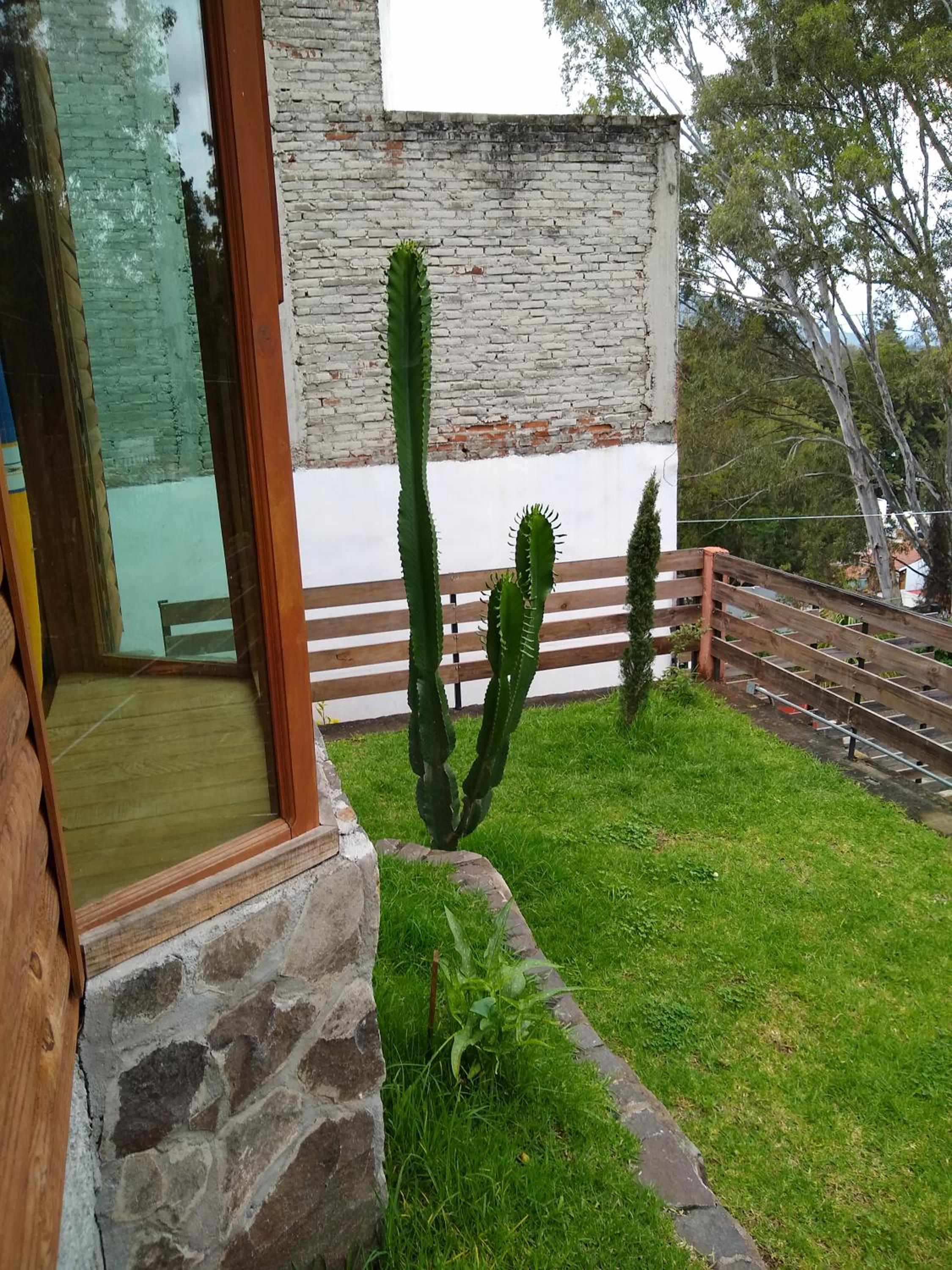 Three-Bedroom Chalet - Photo 8