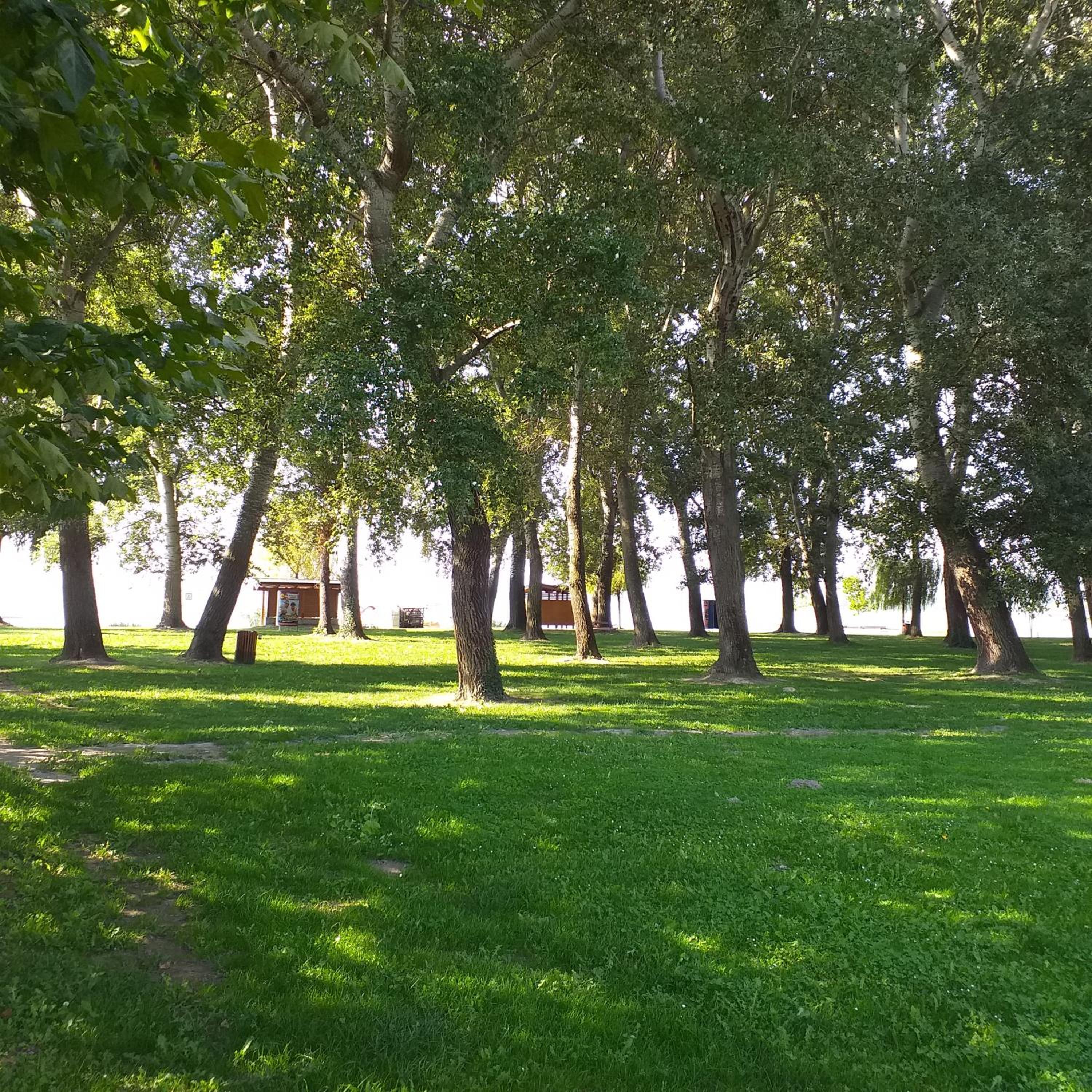 Vacation Home - Photo 7