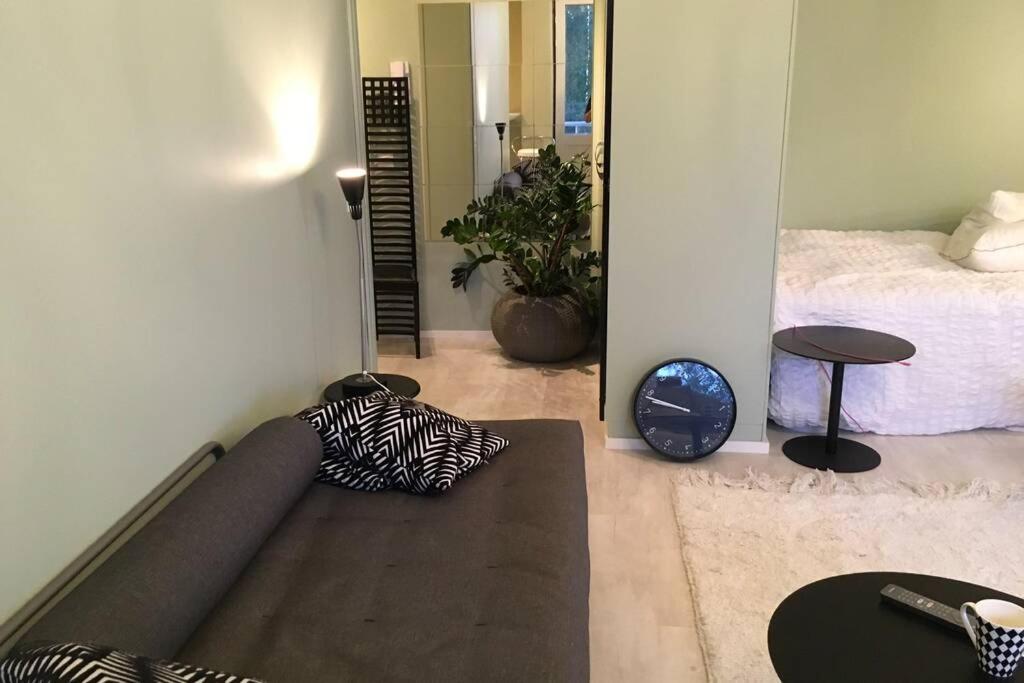 Studio with Garden View