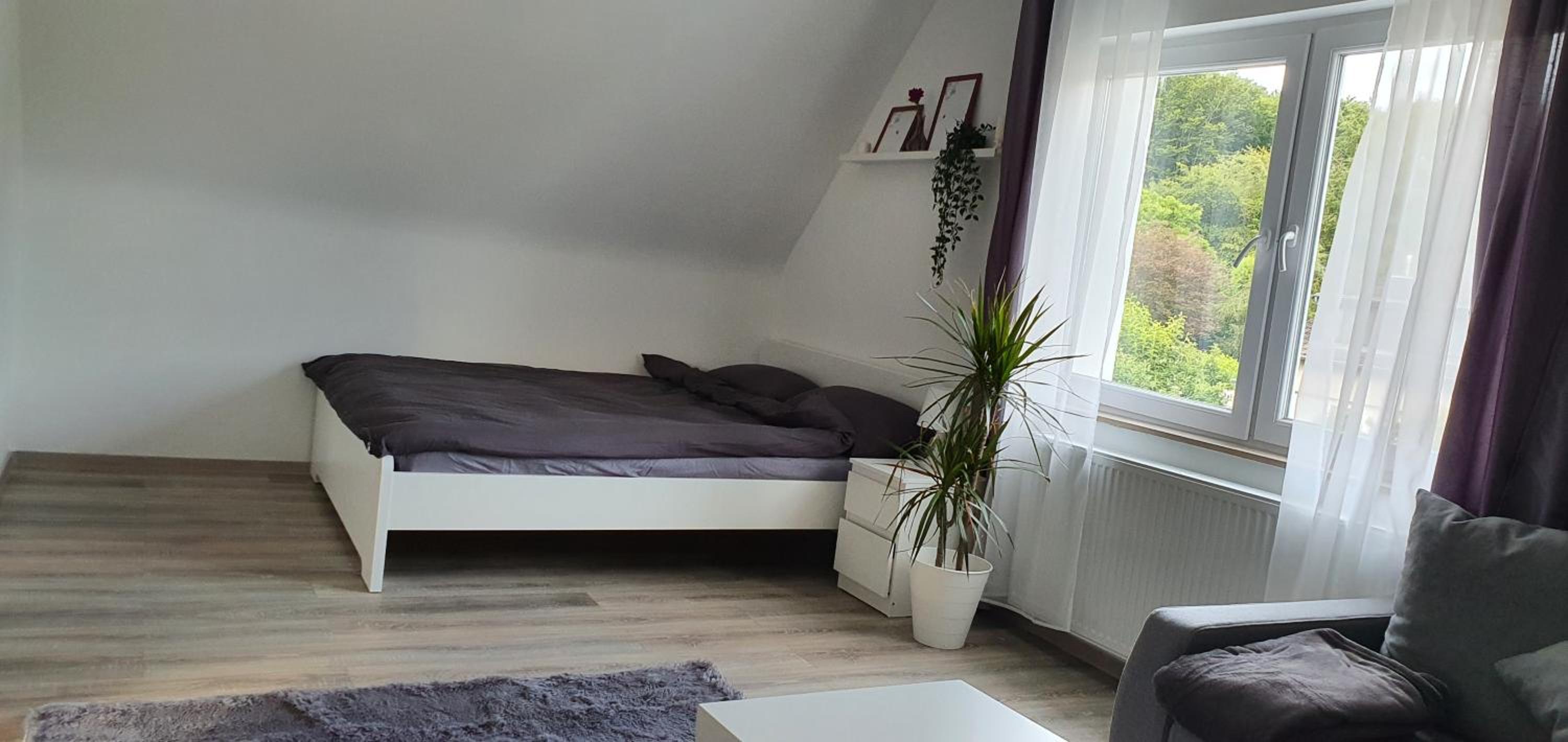 Studio Apartment - Photo 4