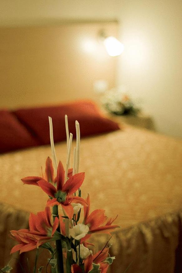 Double or Twin Room - Photo 2