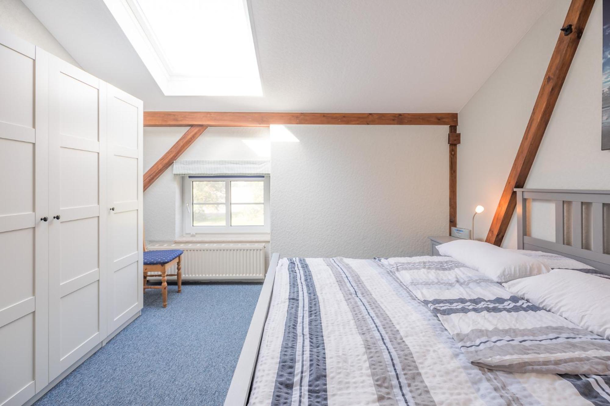 Apartment with Terrace photo 3