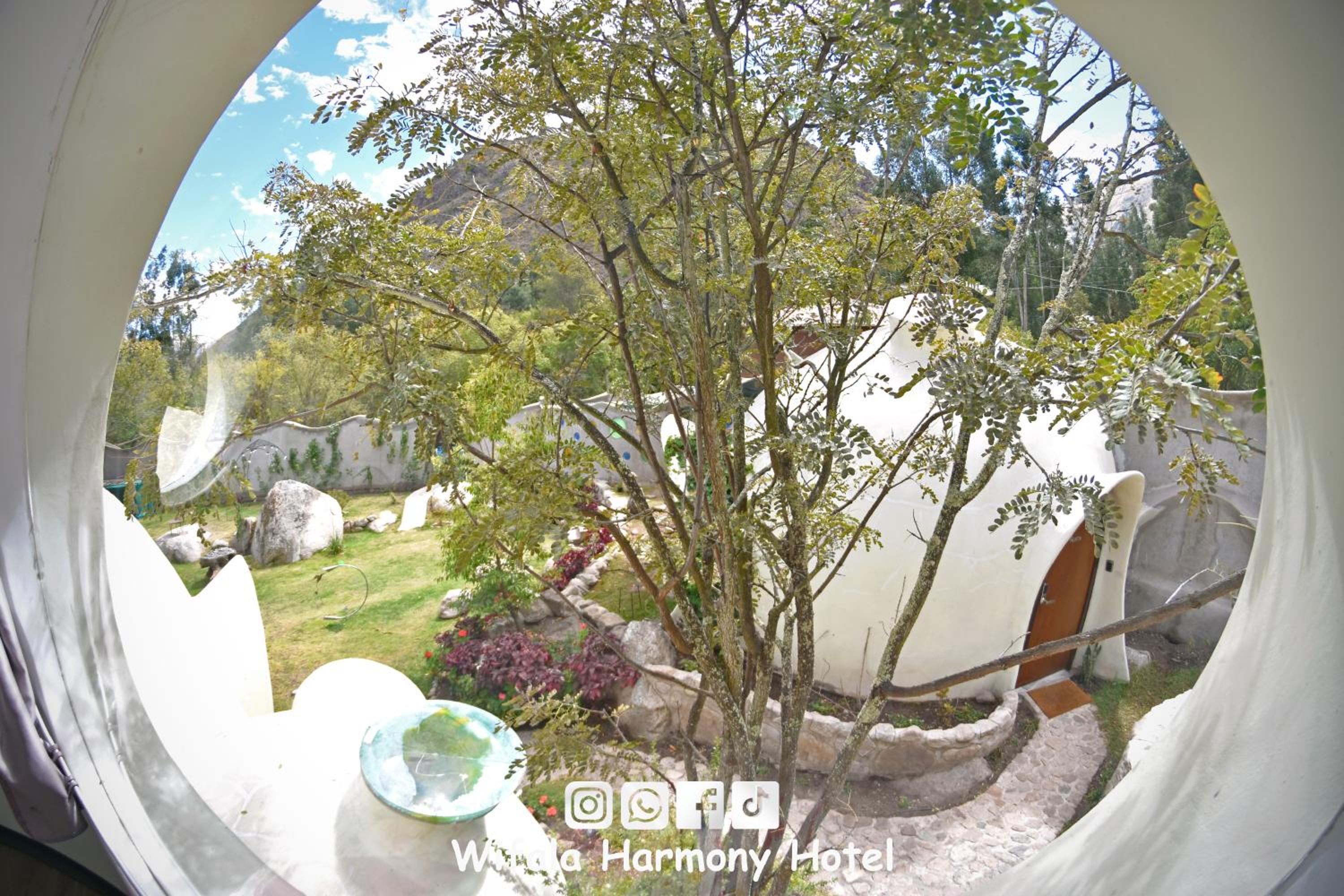 Standard Double Room - Photo 5