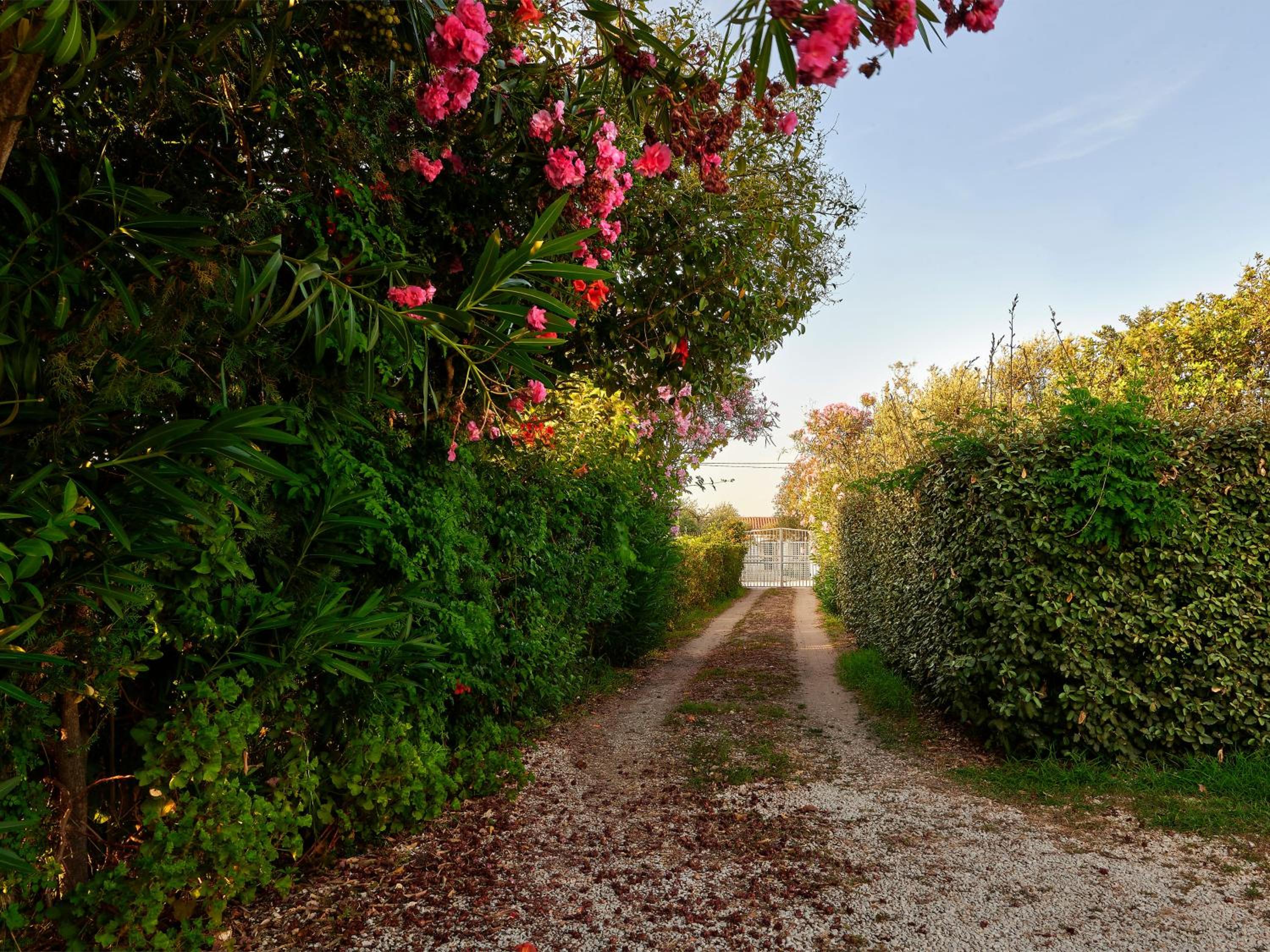 Holiday Home photo 2