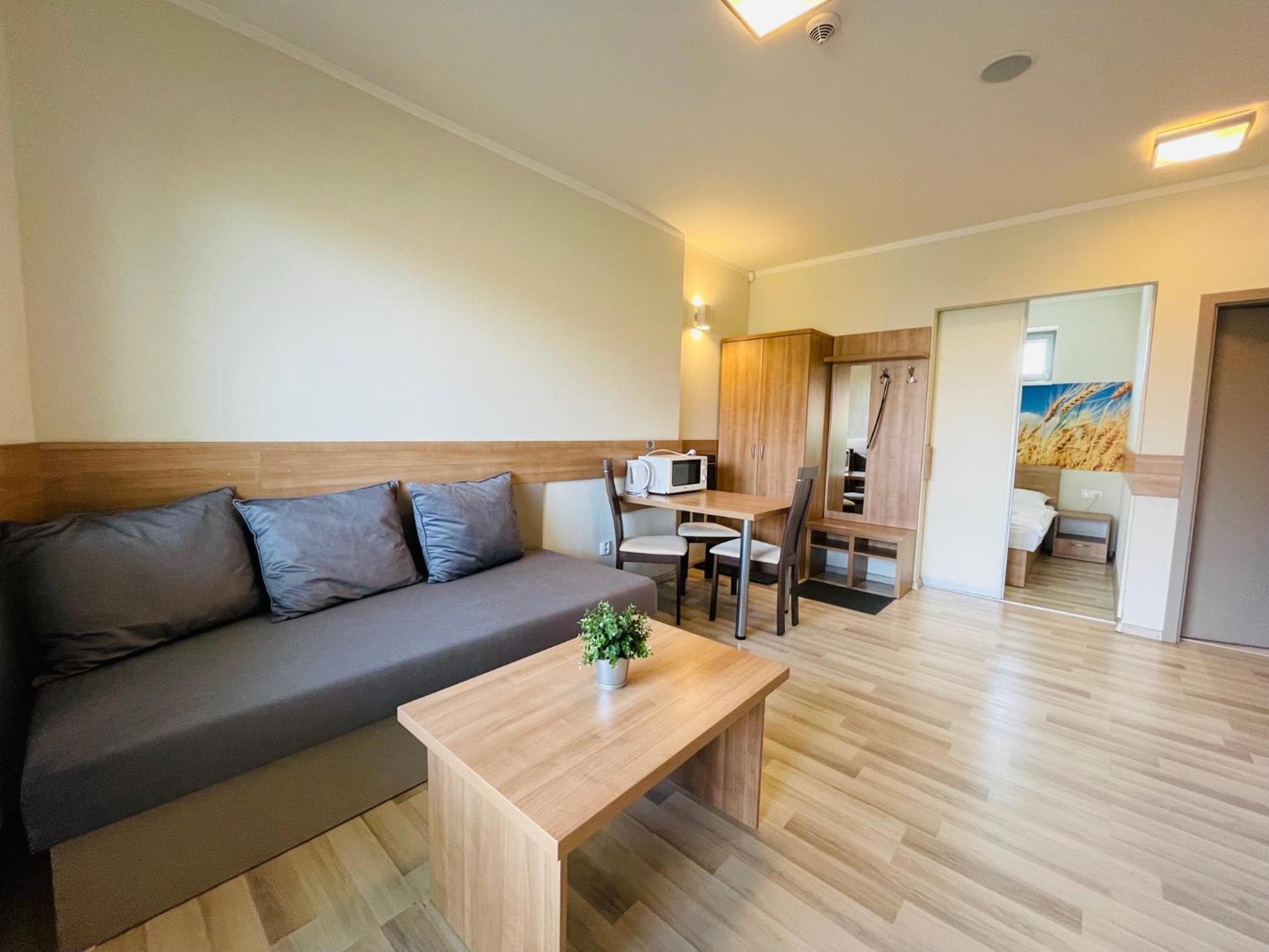 Studio Apartment - Photo 4