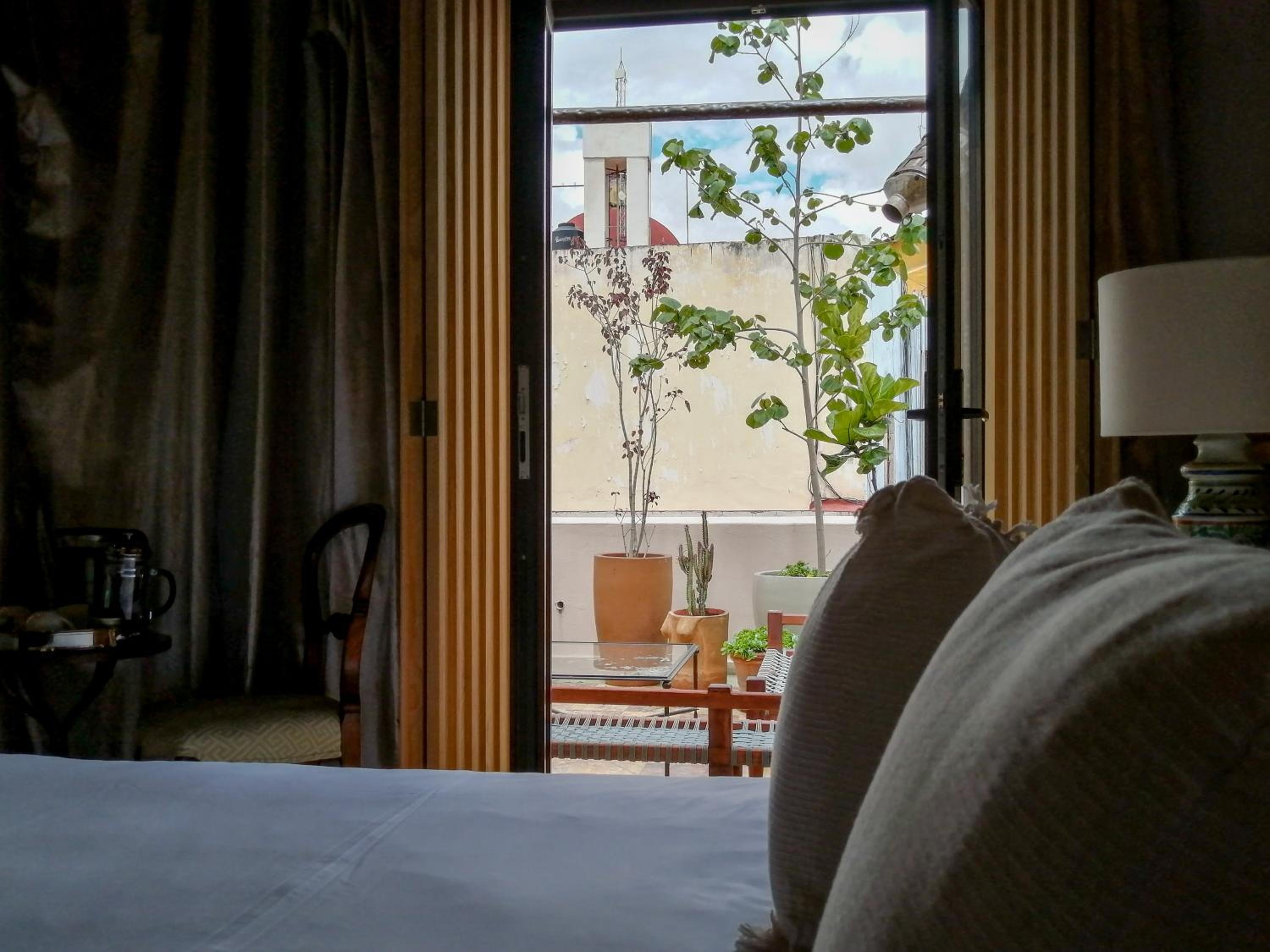Suite with Terrace photo 2