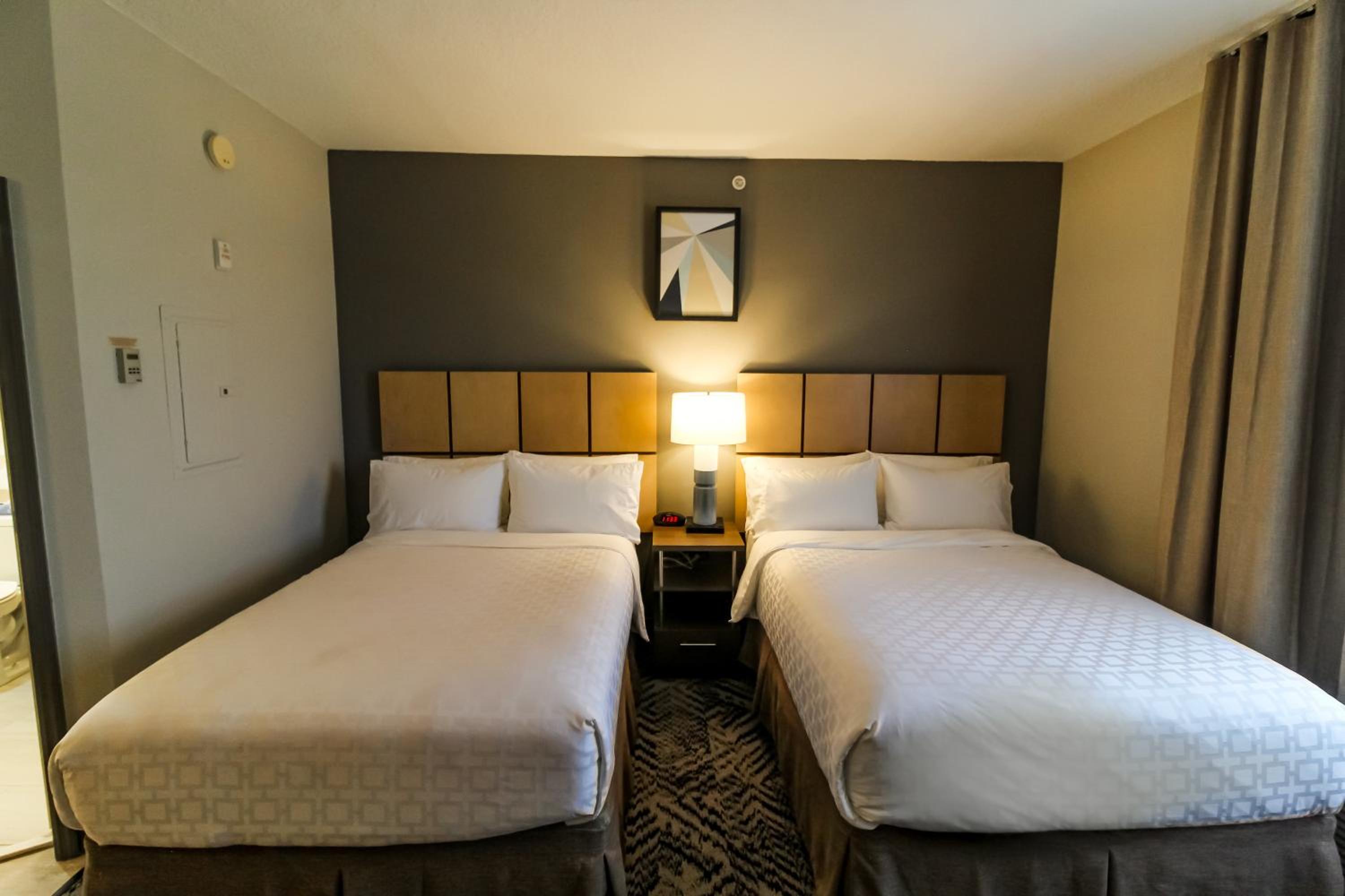Studio Suite with Two Double Beds - Photo 1