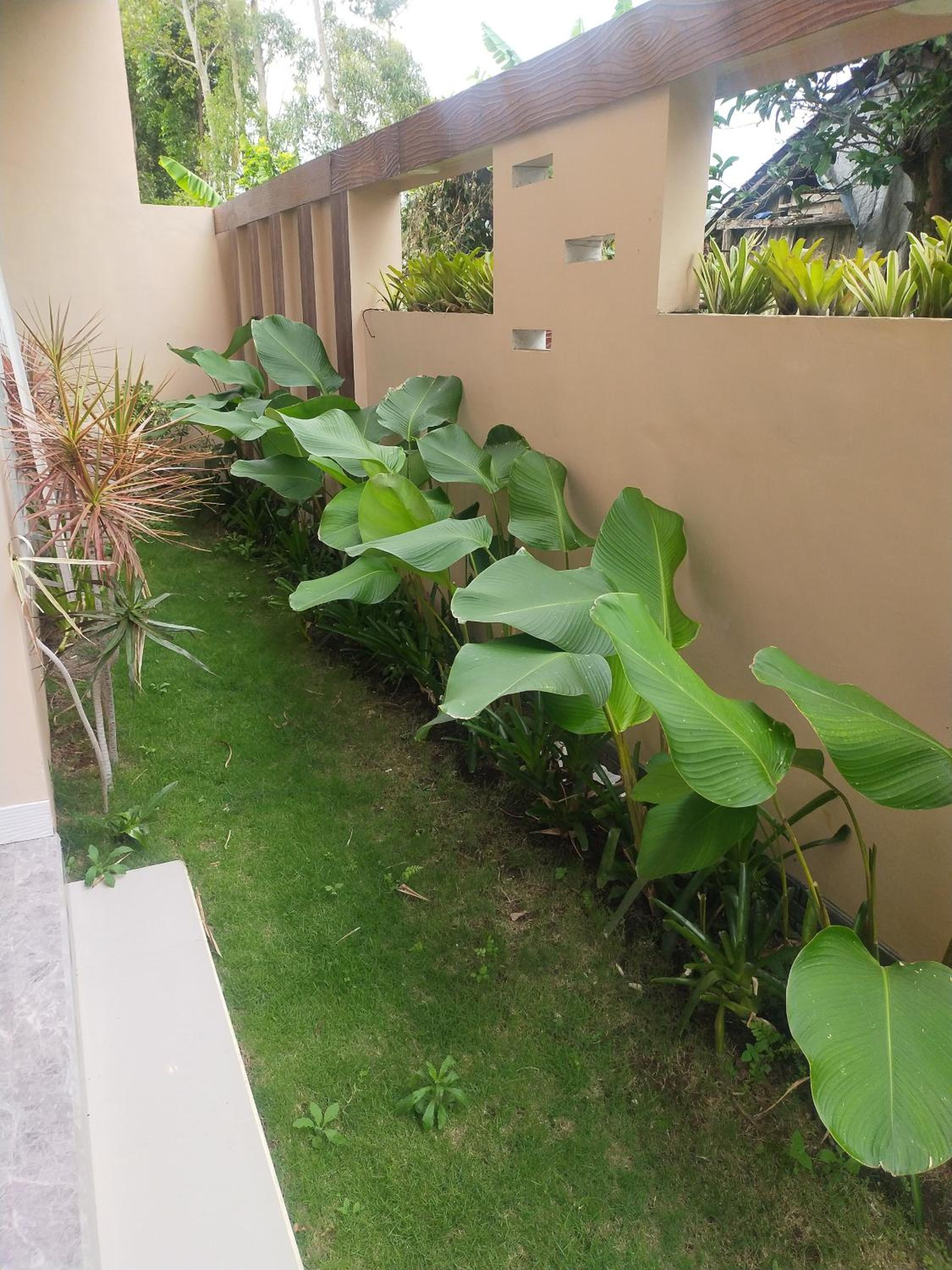 Villa - Photo 6