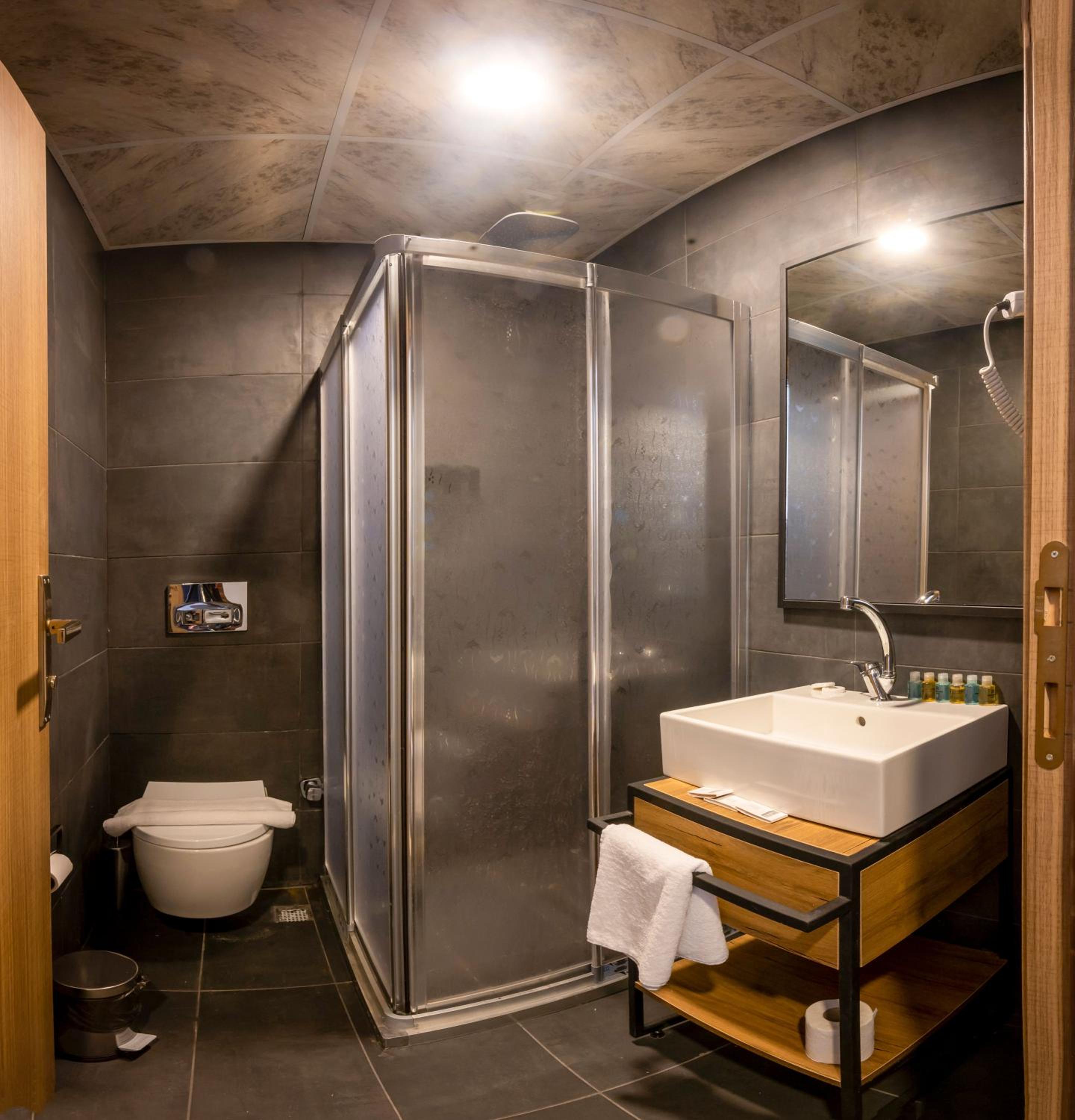 Deluxe Double or Twin Room - Photo 10