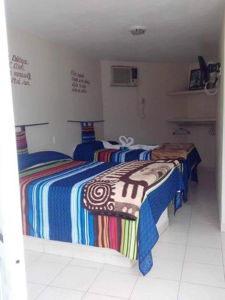 Twin Room with Pool View photo 1