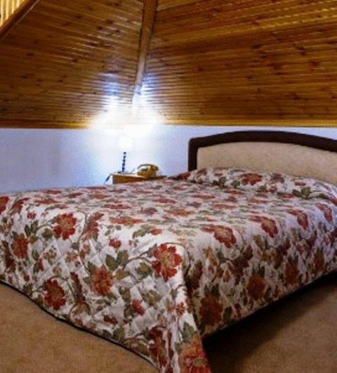 Family Room - Attic photo 2