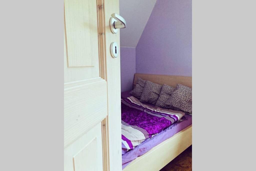 One-Bedroom House photo 3