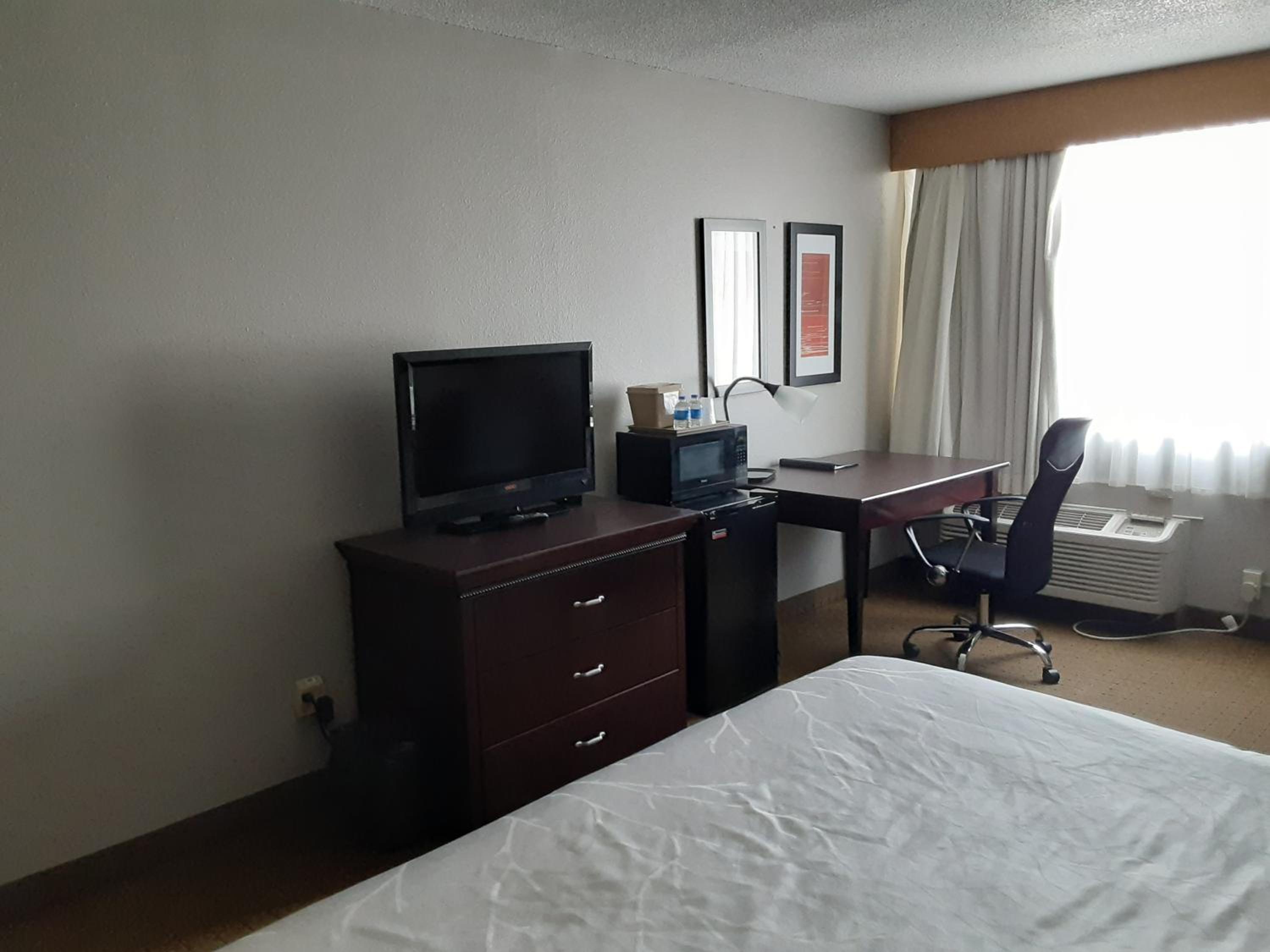 King Room - Photo 1