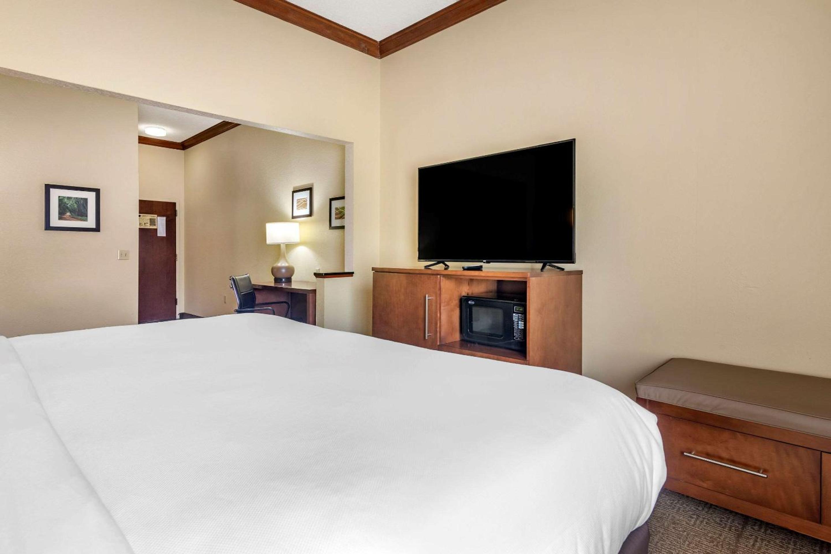 King Suite - Non-Smoking - Photo 4