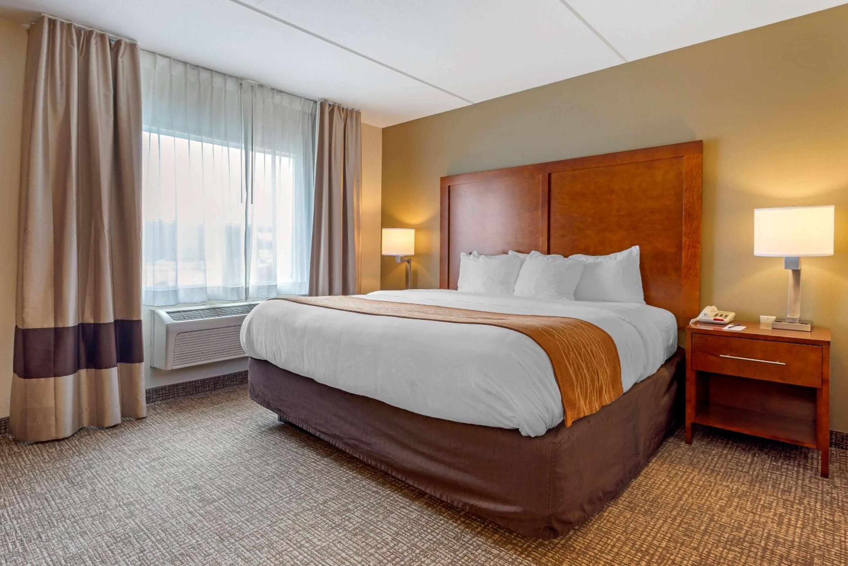 King Suite with Sofa Bed - Non-Smoking