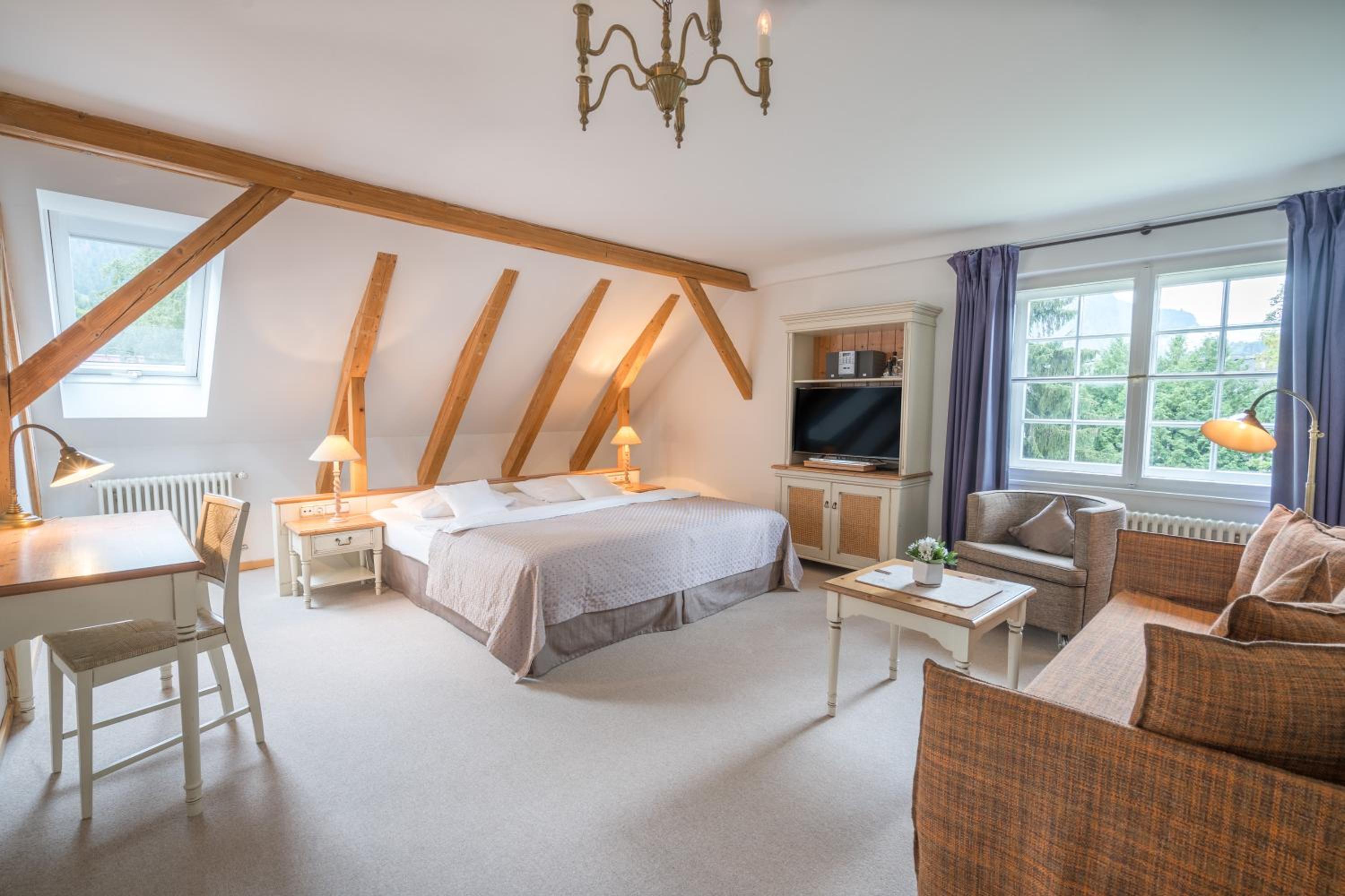 Double Room with Mountain View photo 1