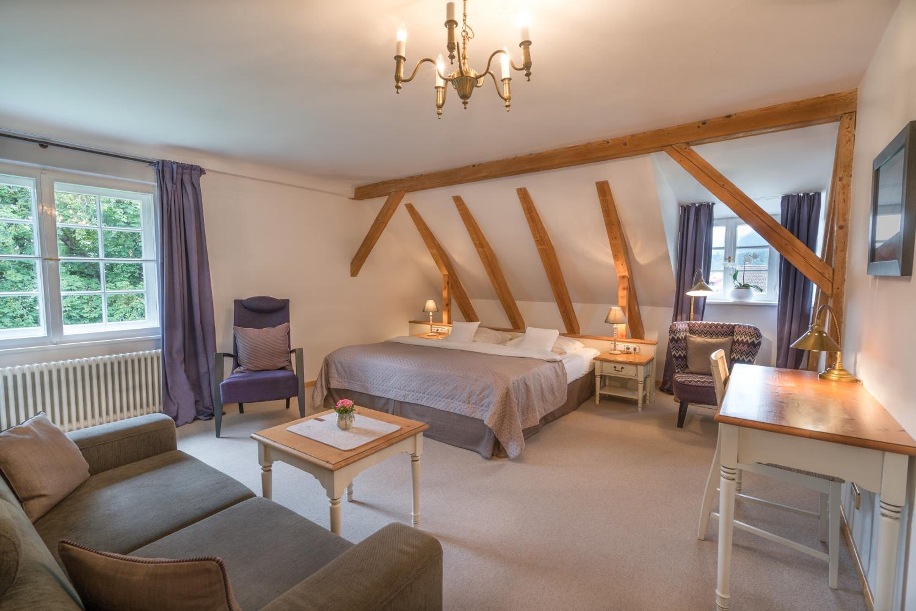 Double Room with Mountain View photo 2